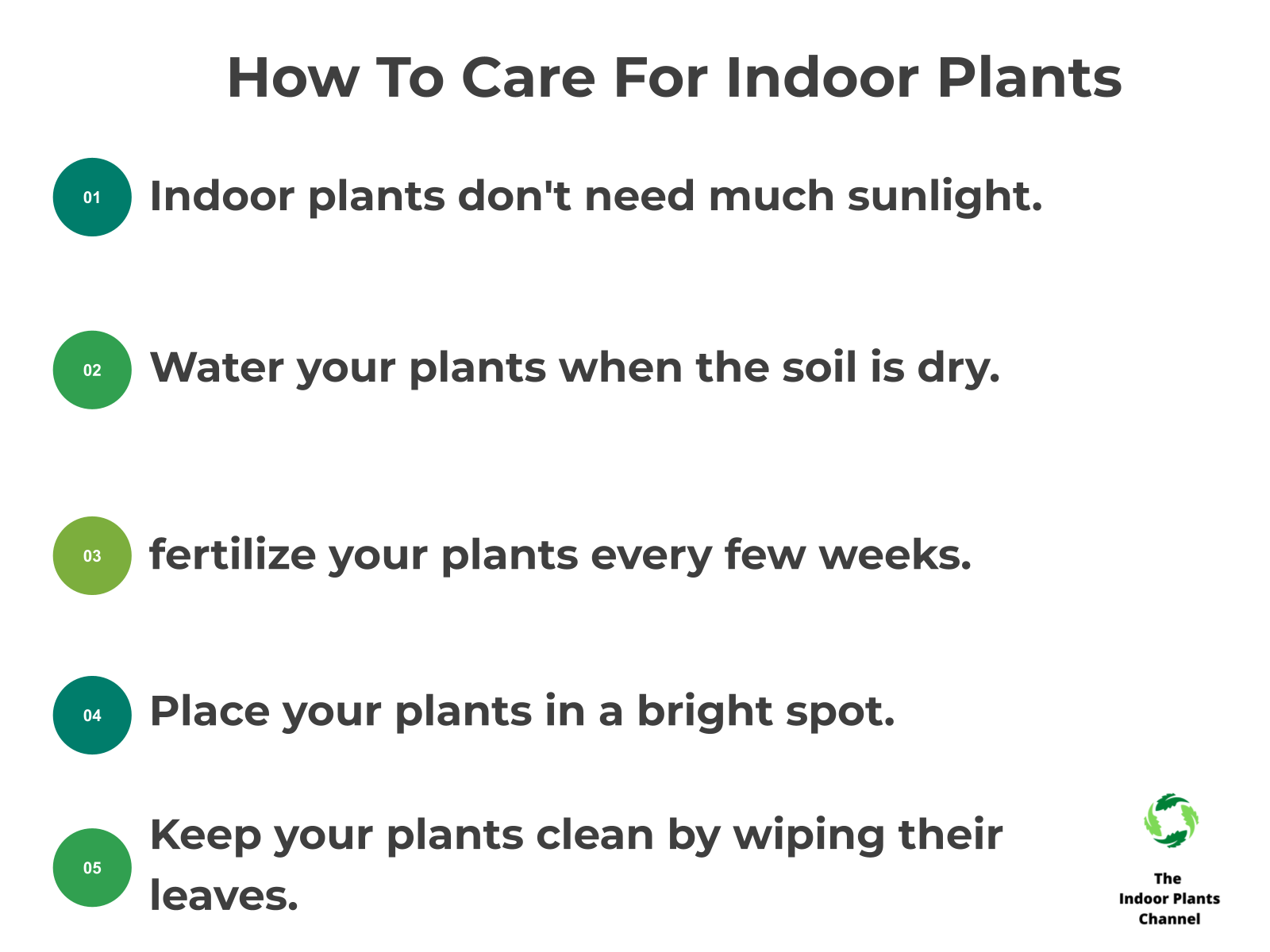 INFOGRAPHIC: How to care for indoor plants