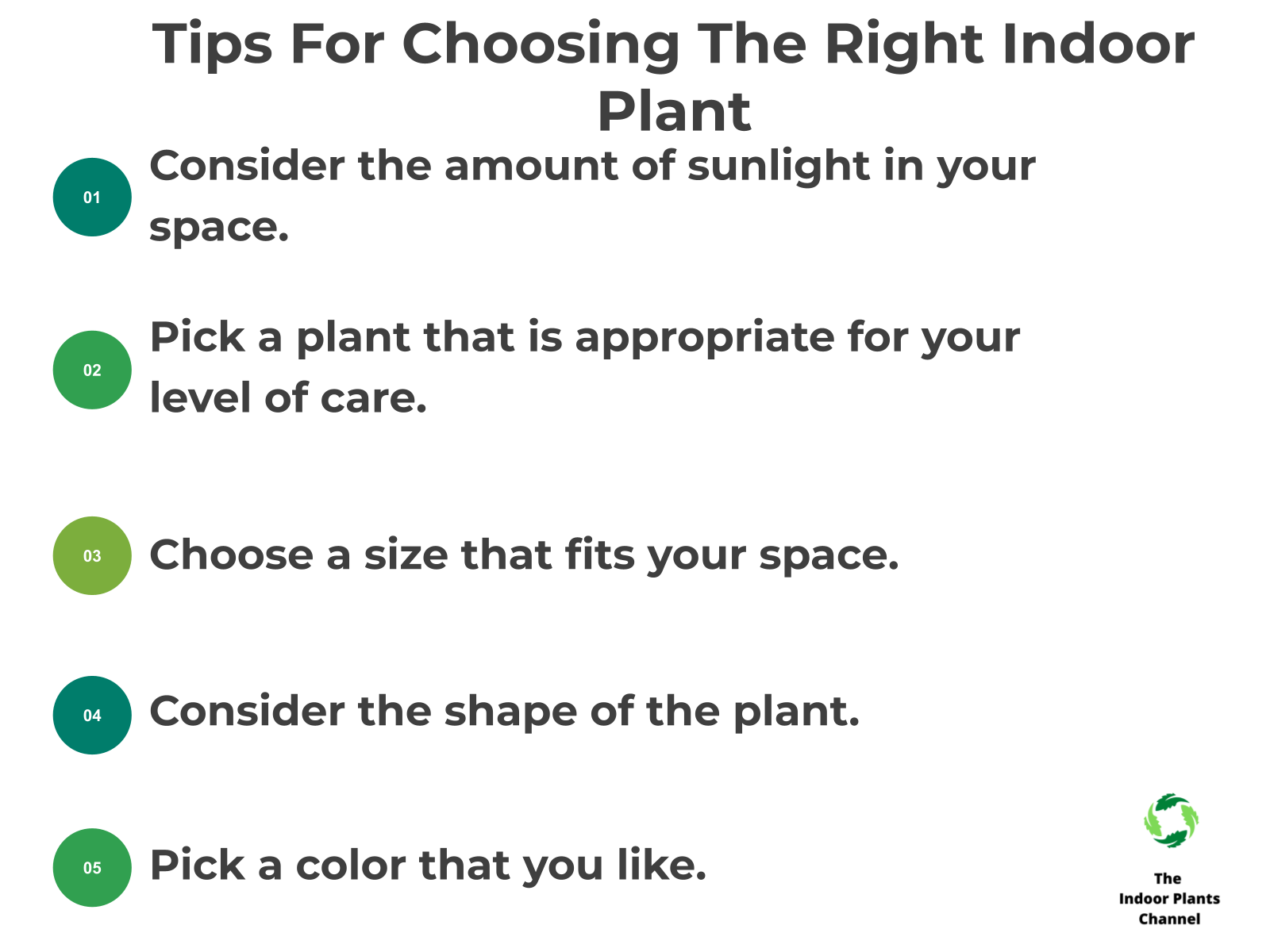 INFOGRAPHIC: Tips for choosing the right indoor plant
