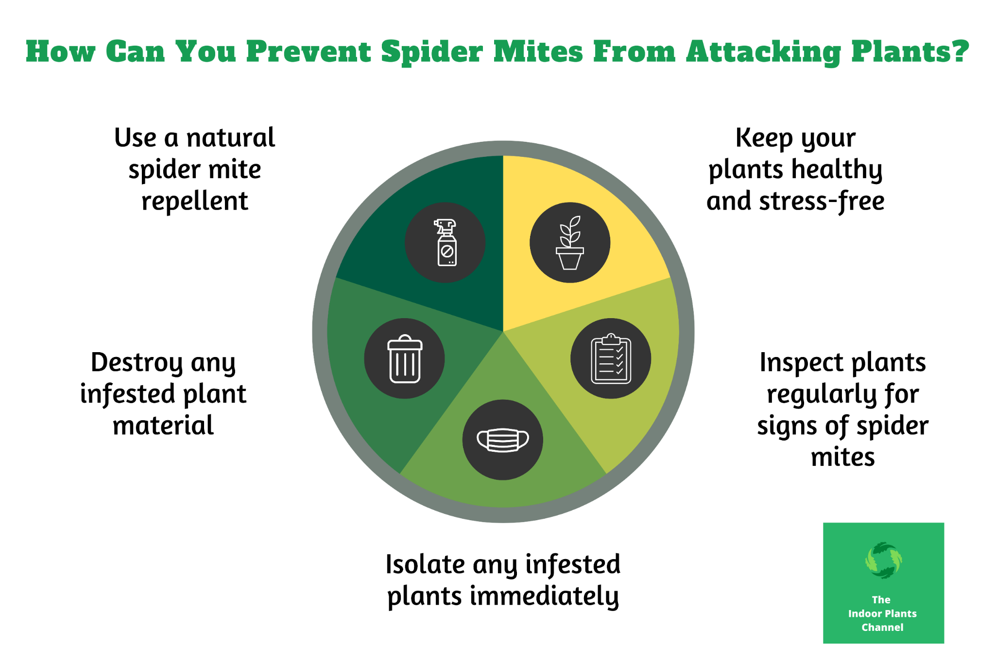 INFOGRAPHIC : How Can You Prevent Spider Mites From Infesting Your Plants?