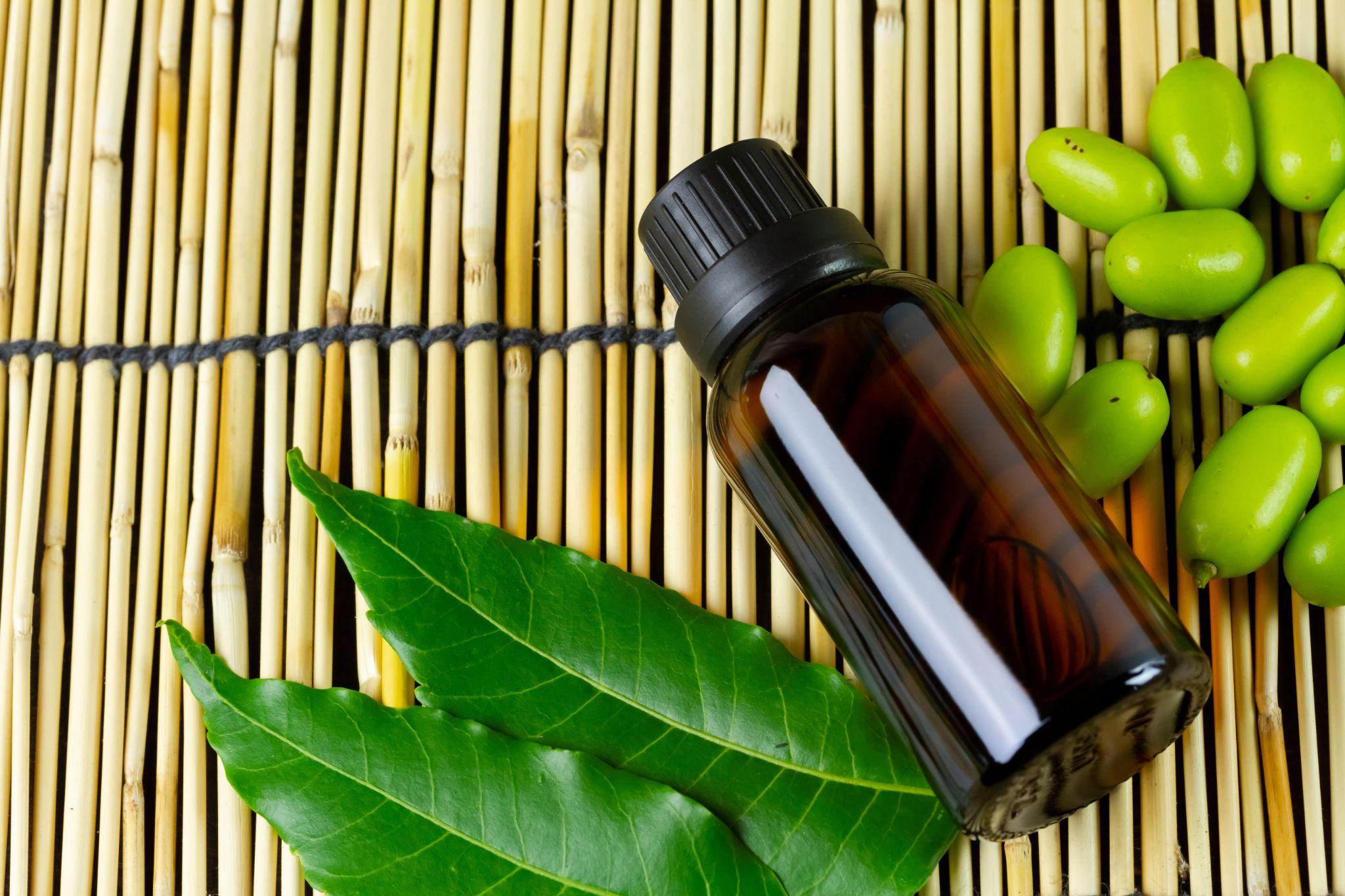 How Often Should You Use Neem Oil On Your Plants?
