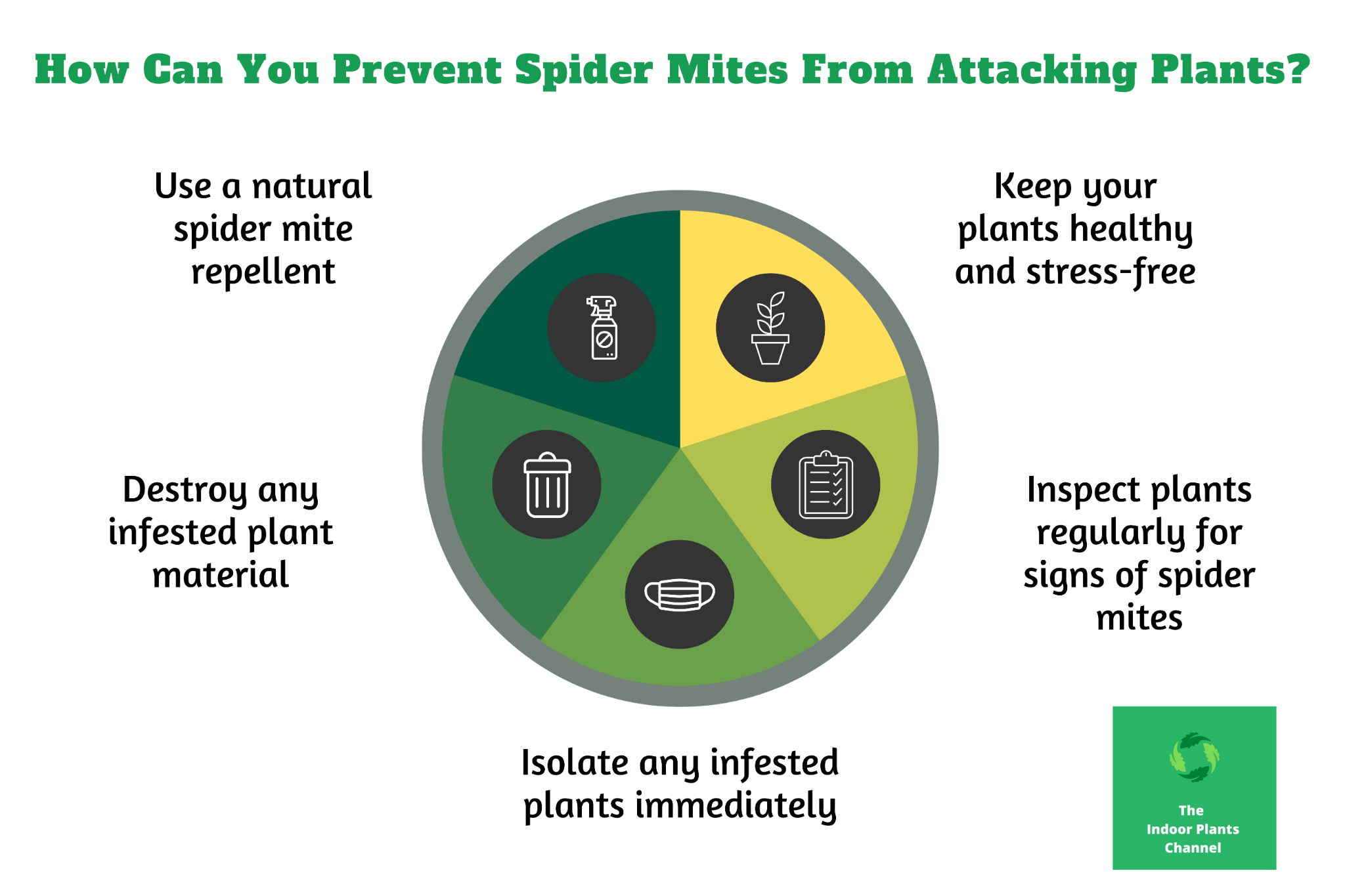 INFOGRAPHIC: How Can You Prevent Spider Mites From Attacking Your Plants?