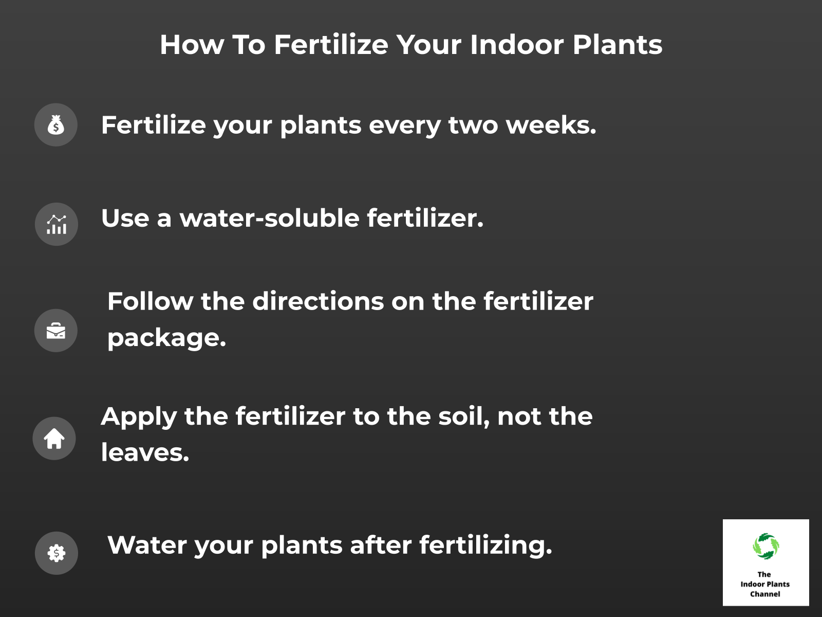 Fertilizing Your Indoor Plants: How Often & What To Use