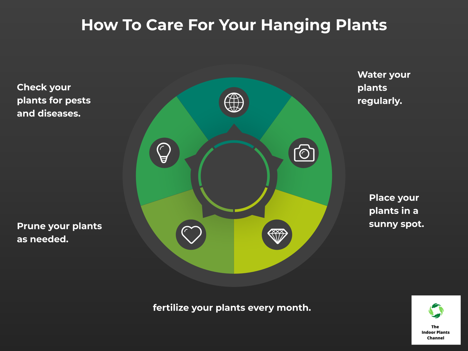 The Advanced Guide To Hanging Plants