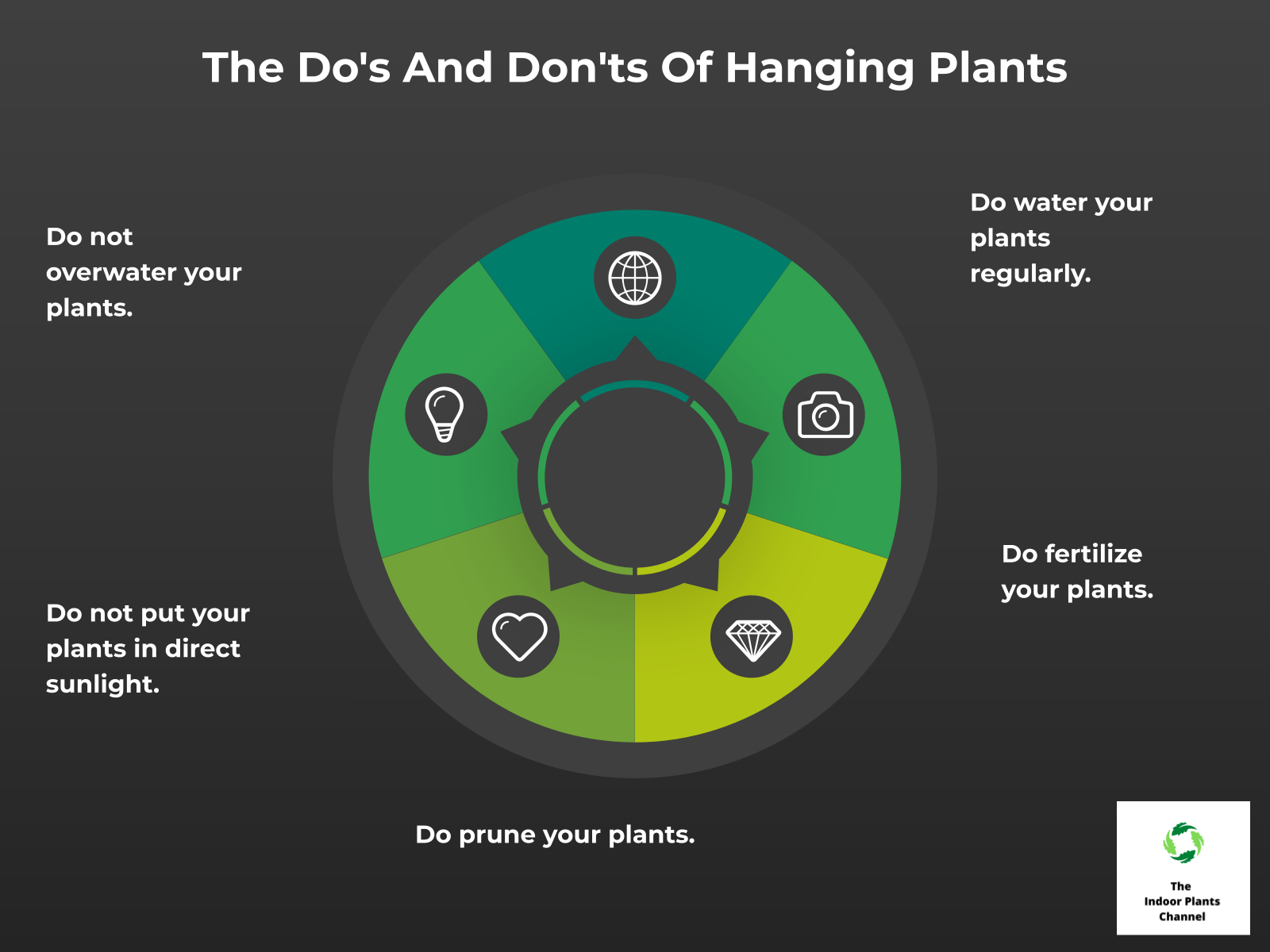The Advanced Guide To Hanging Plants