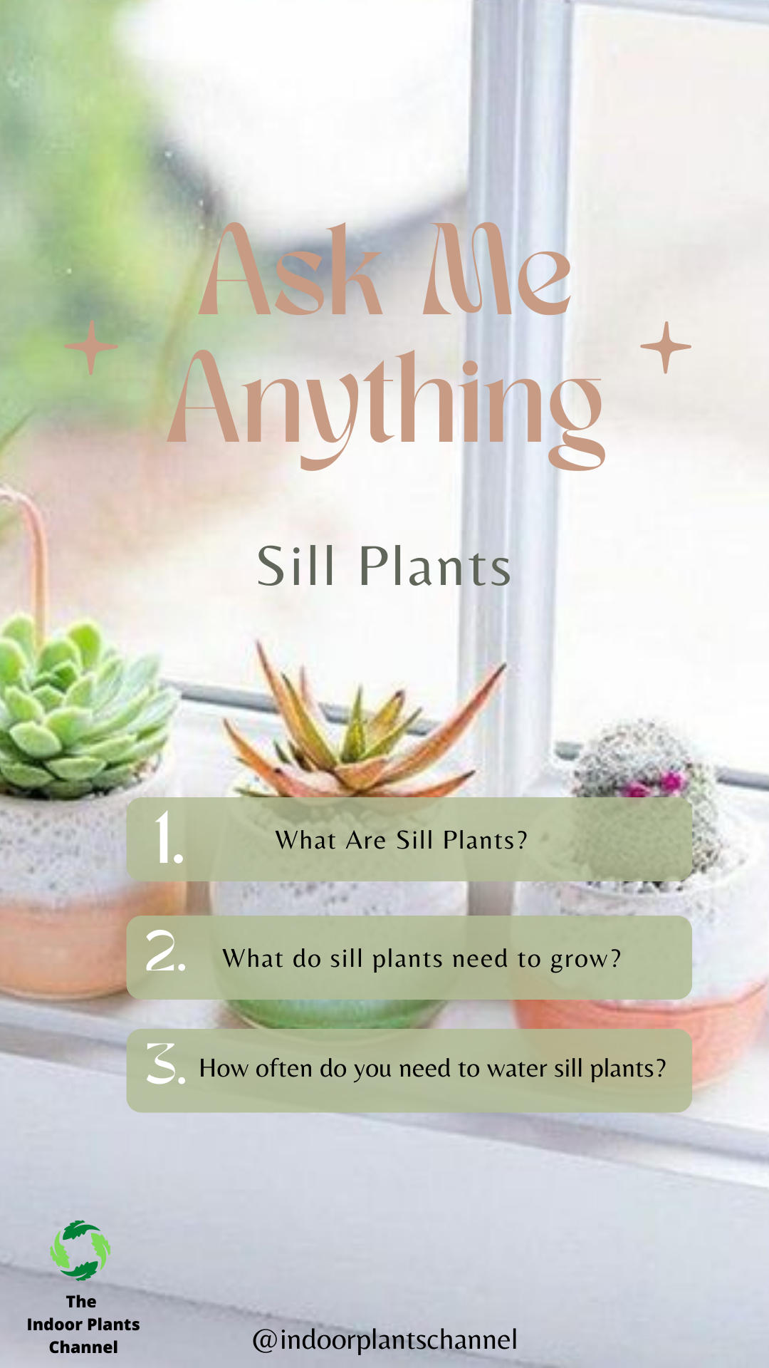 Ask Me Anything: 10 Answers To Your Questions About Sill Plants
