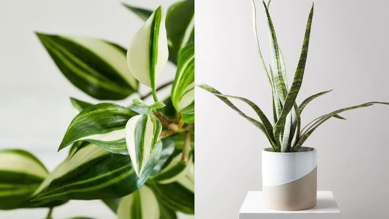 The Most Innovative Things Happening With Artificial Plants