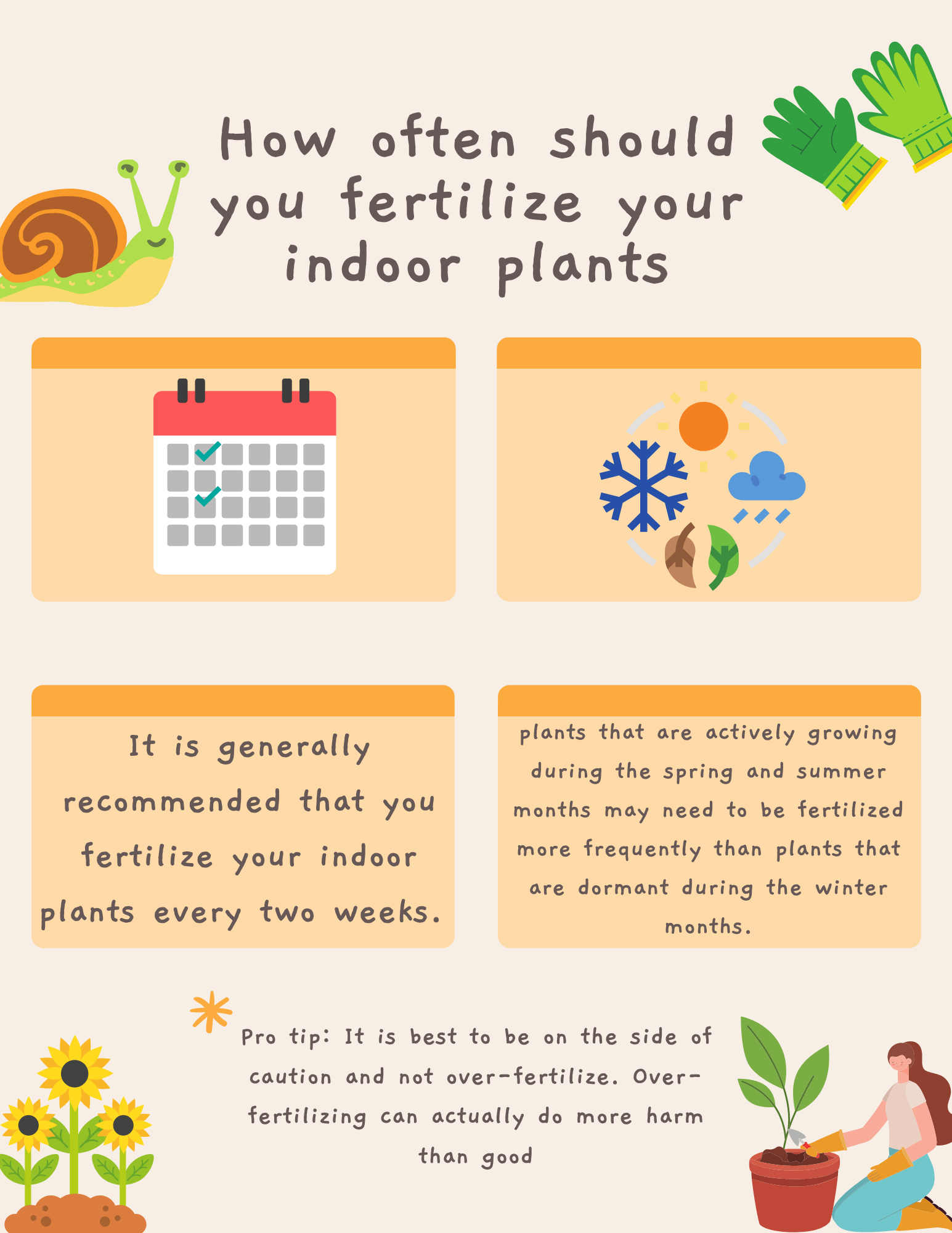 Fertilizing Your Indoor Plants: How Often & What To Use