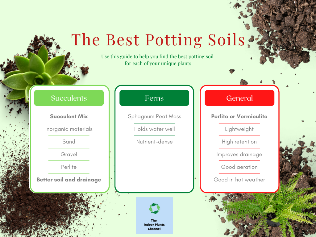 What Is The Best Potting Soil For Indoor Plants