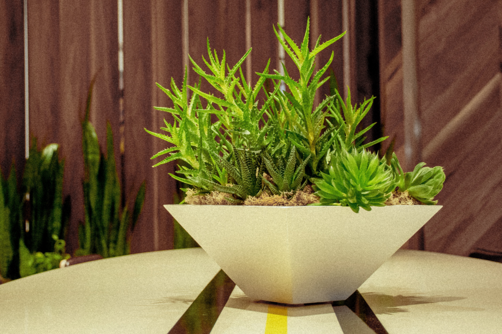 10 Quick Tips About Faux Plants
