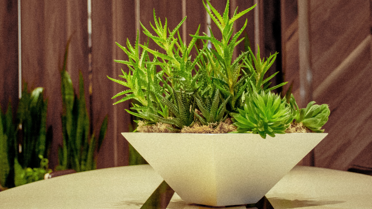 10 Quick Tips About Faux Plants