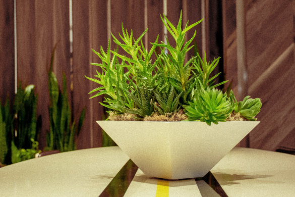 10 Quick Tips About Faux Plants