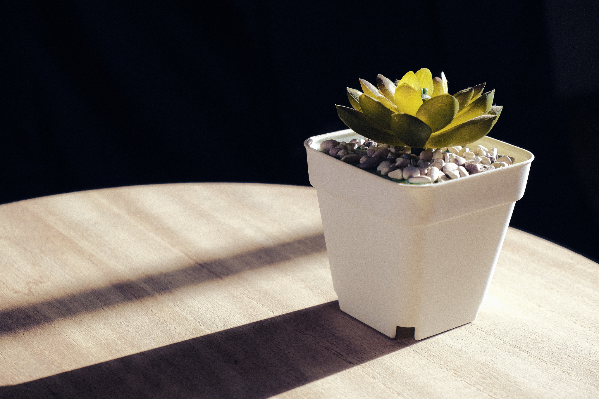 10 Quick Tips About Faux Plants