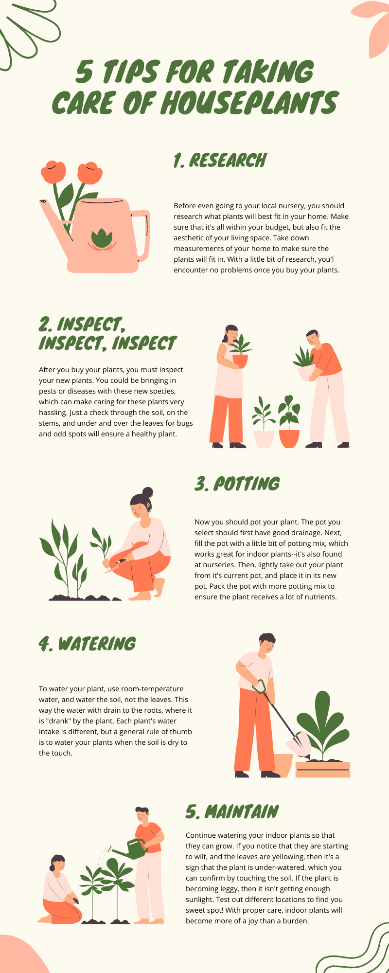 A Step-by-step Guide To Indoor Plants