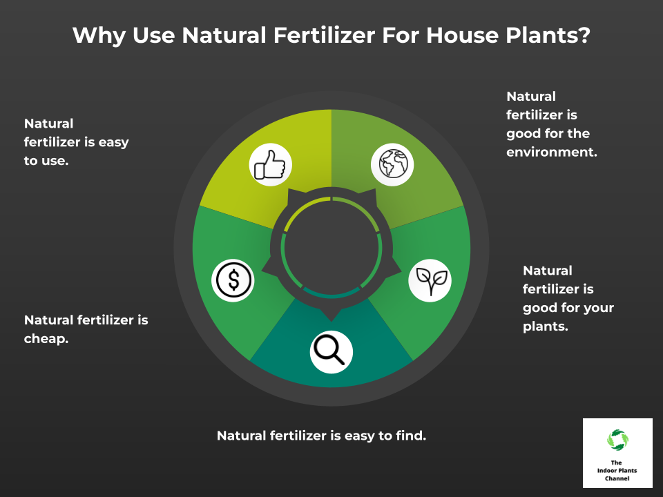 How To Fertilize House Plants Naturally