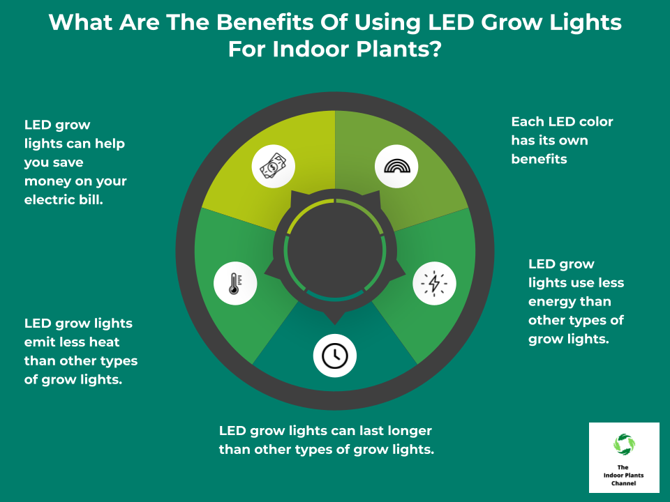 How To Use Led Grow Lights For Indoor Plants - A Beginner's Guide