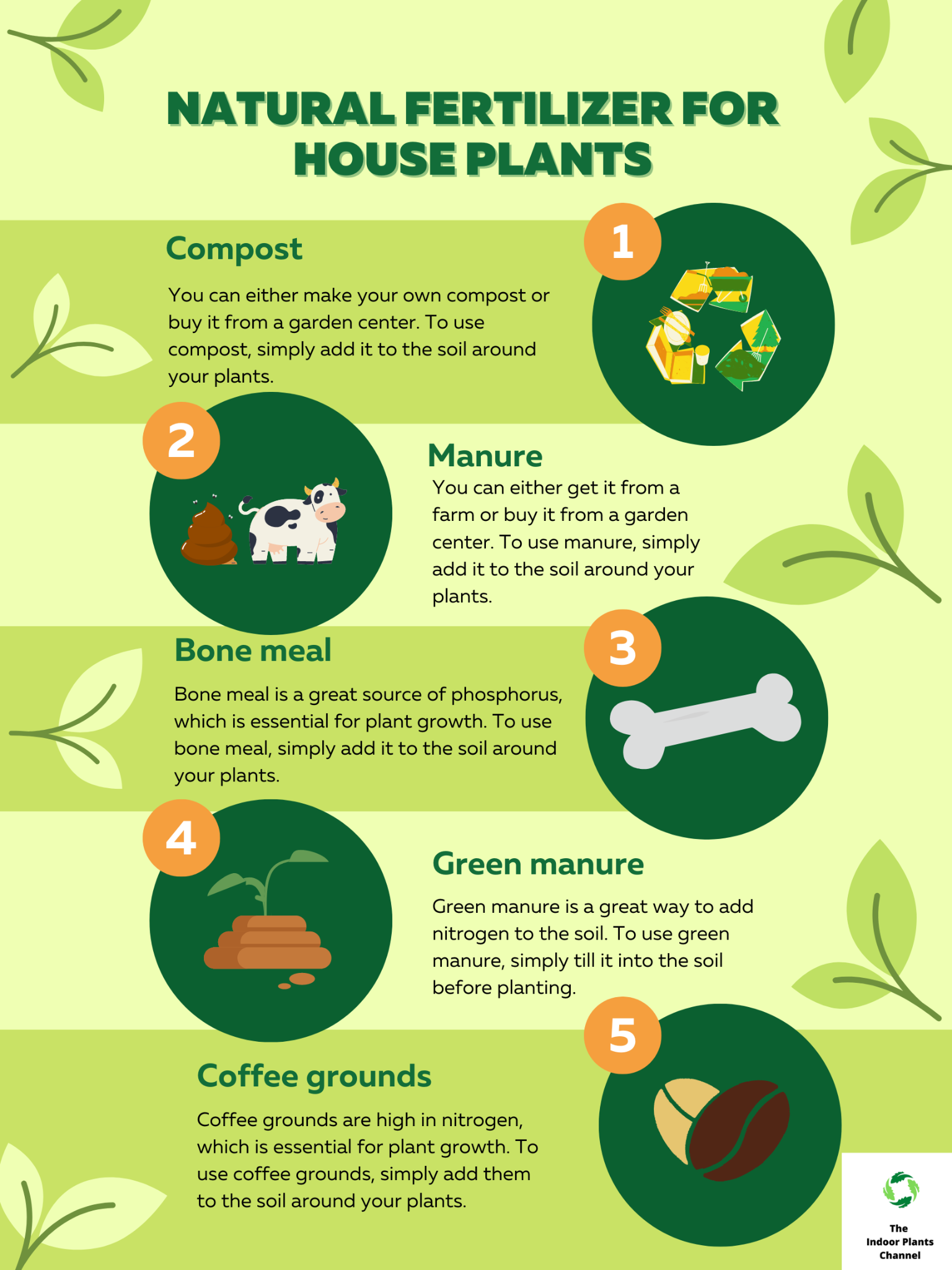 How To Fertilize House Plants Naturally