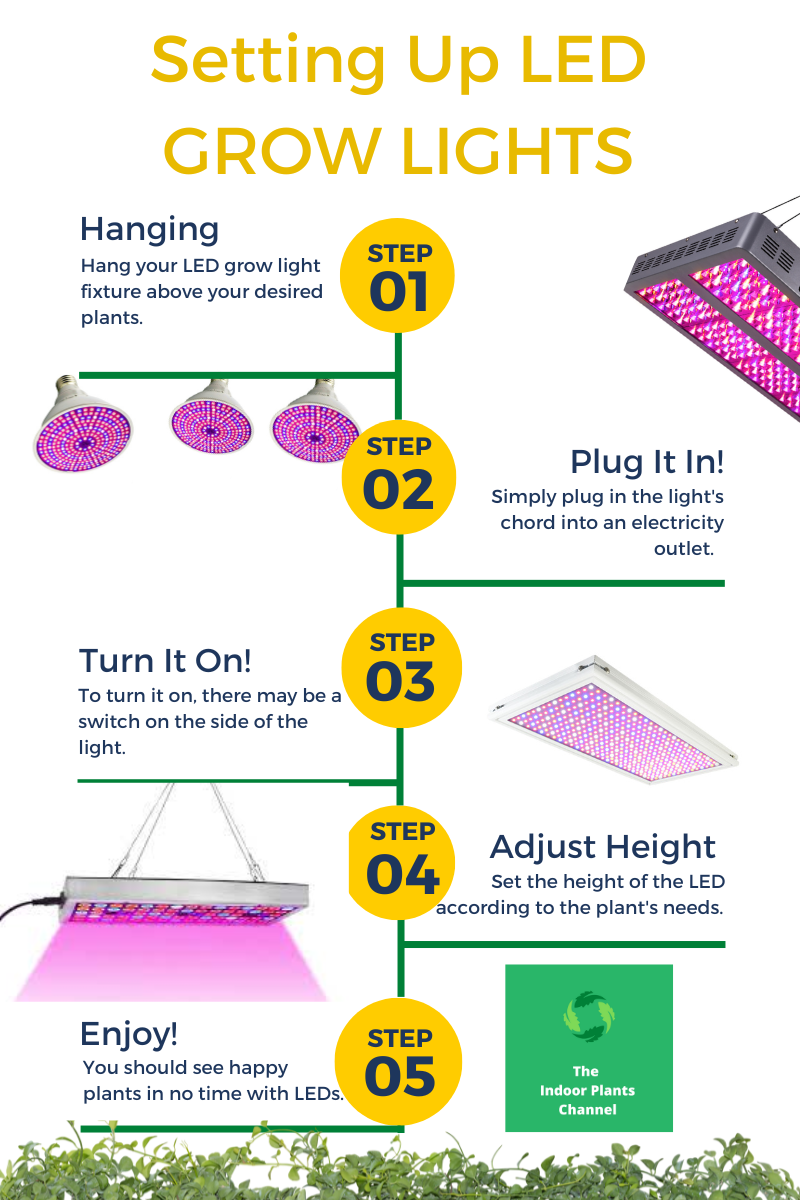 How To Use Led Grow Lights For Indoor Plants - A Beginner's Guide