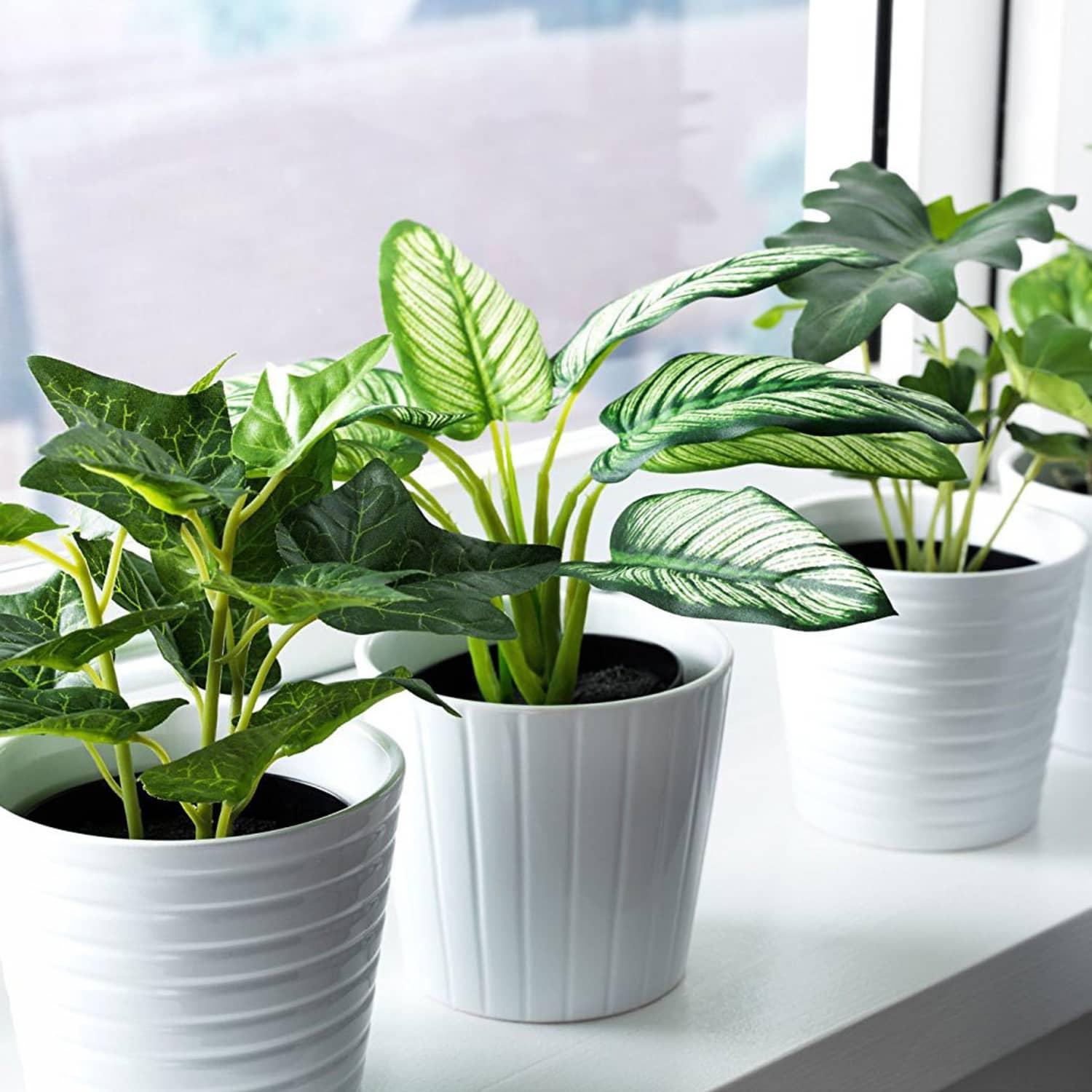Why It's Easier To Succeed With Faux Plants Than You Might Think