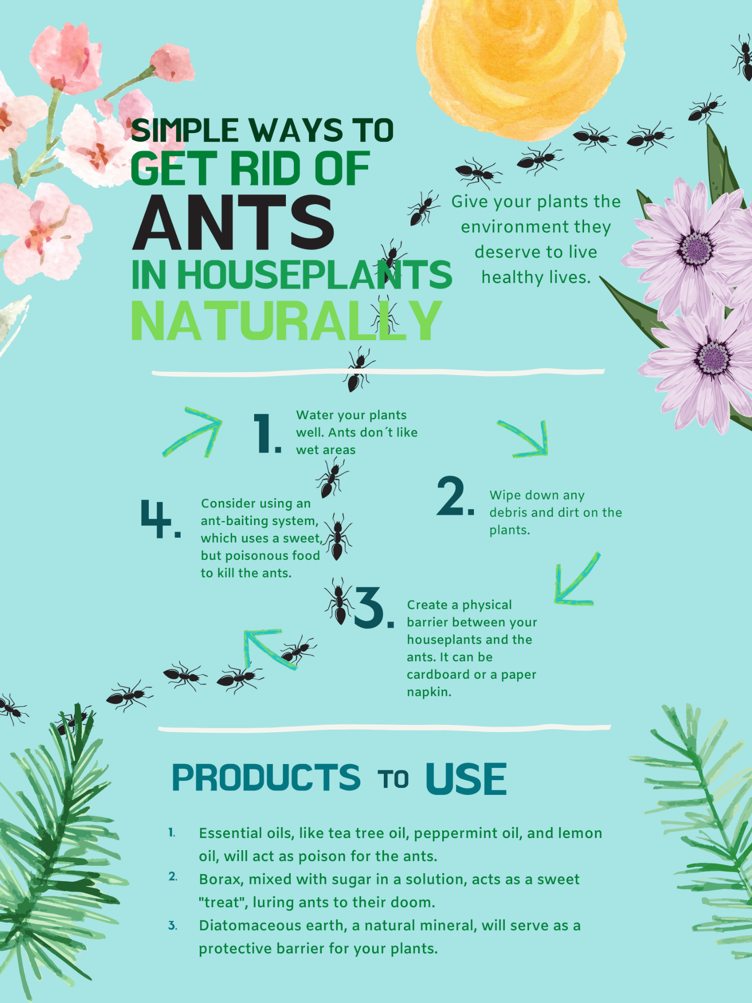 How To Get Rid Of Ants In House Plants Naturally