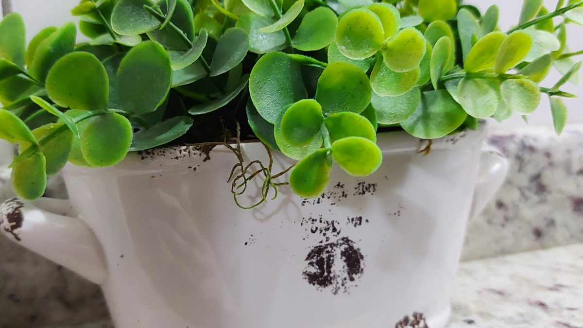 Why It’s Easier To Succeed With Faux Plants Than You Might Think