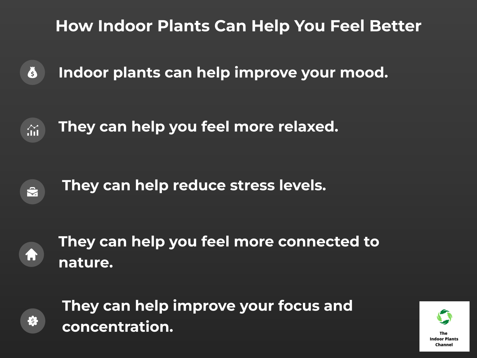 INFOGRAPHIC: How indoor plants can help you feel better