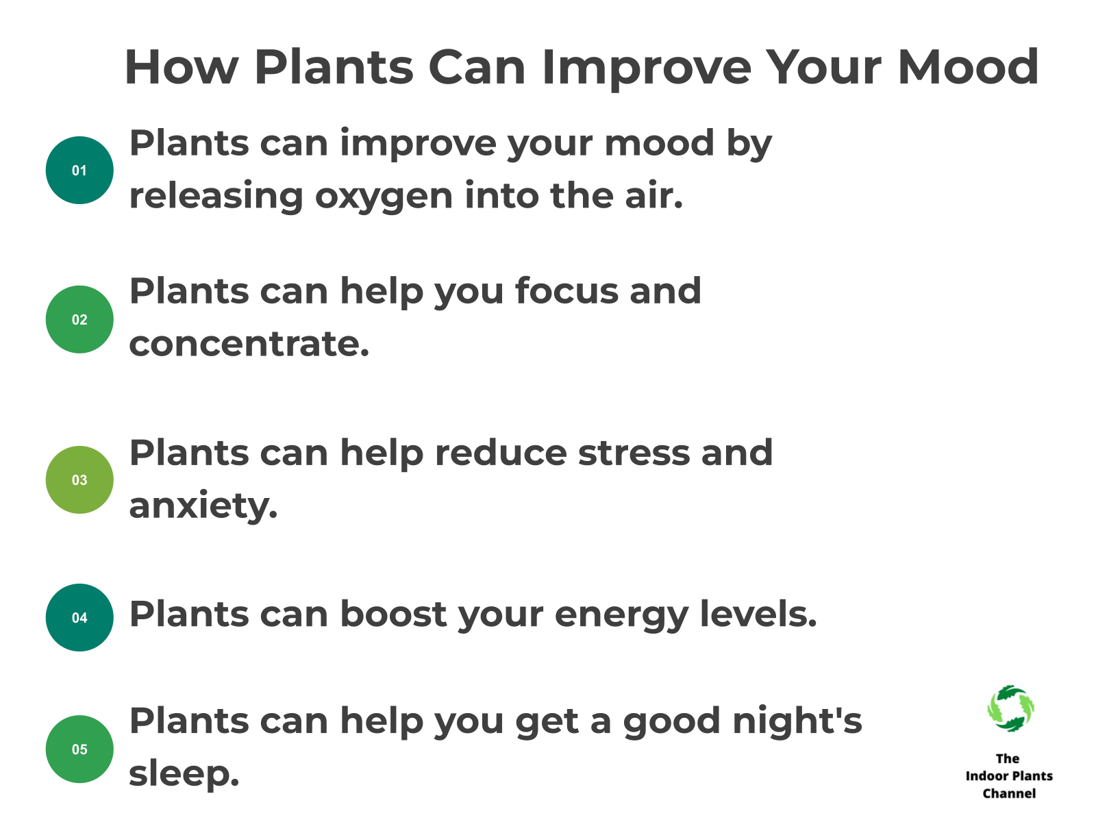 INFOGRAPHIC: How plants can improve your mood