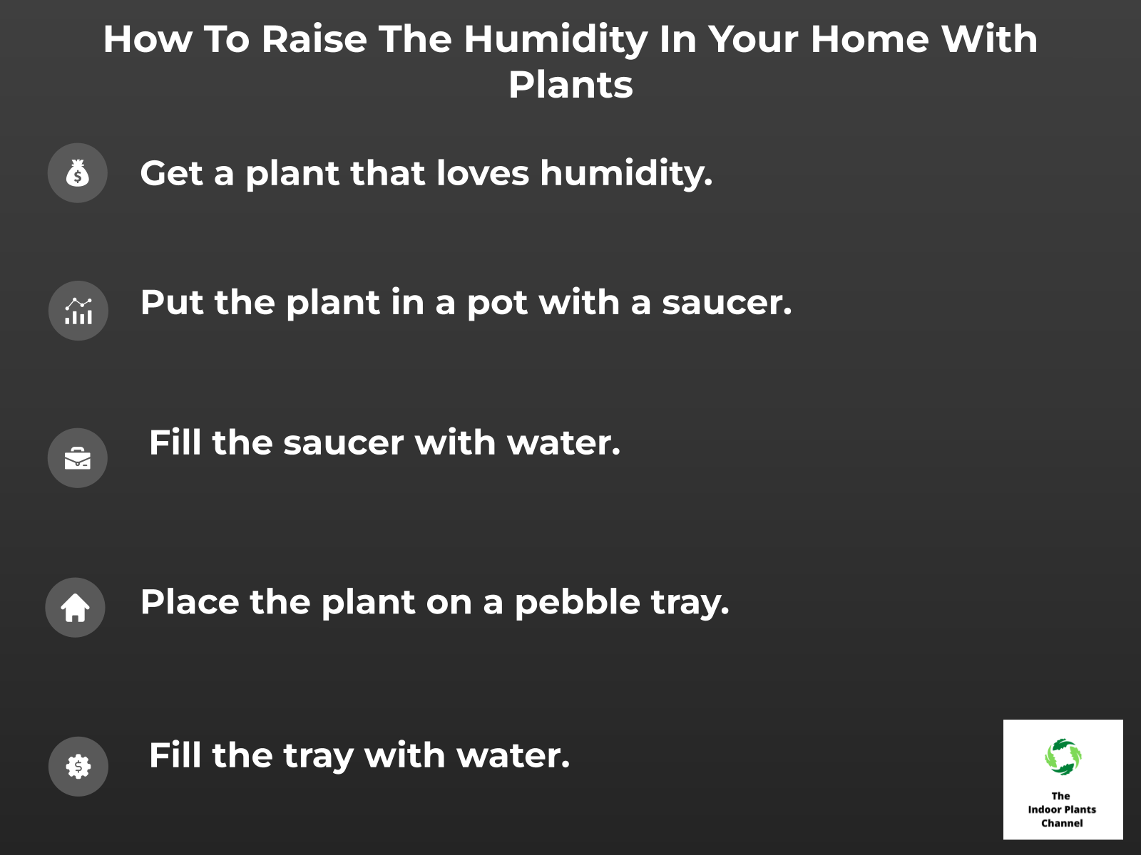 INFOGRAPHIC: How to Raise the Humidity in Your Home with Plants