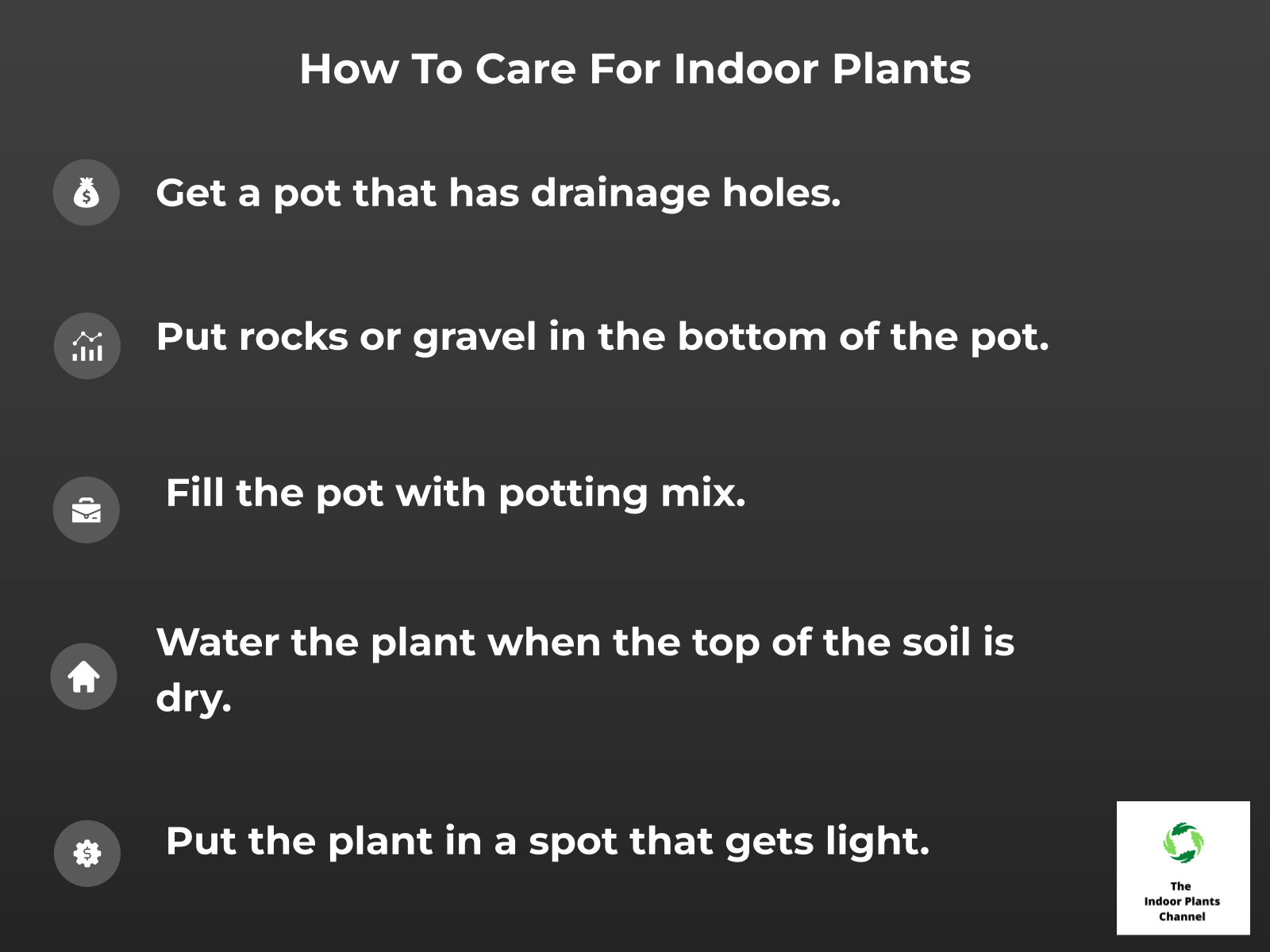 INFOGRAPHIC: How to care for indoor plants