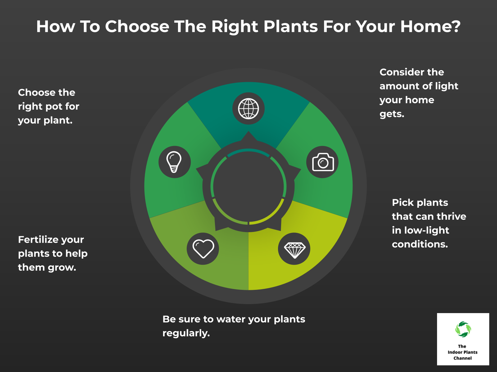 INFOGRAPHIC: How to choose the right plants for your home?