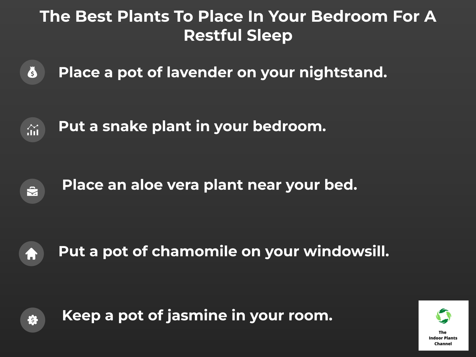 INFOGRAPHIC: The Best Plants to Place in Your Bedroom for a Restful Sleep