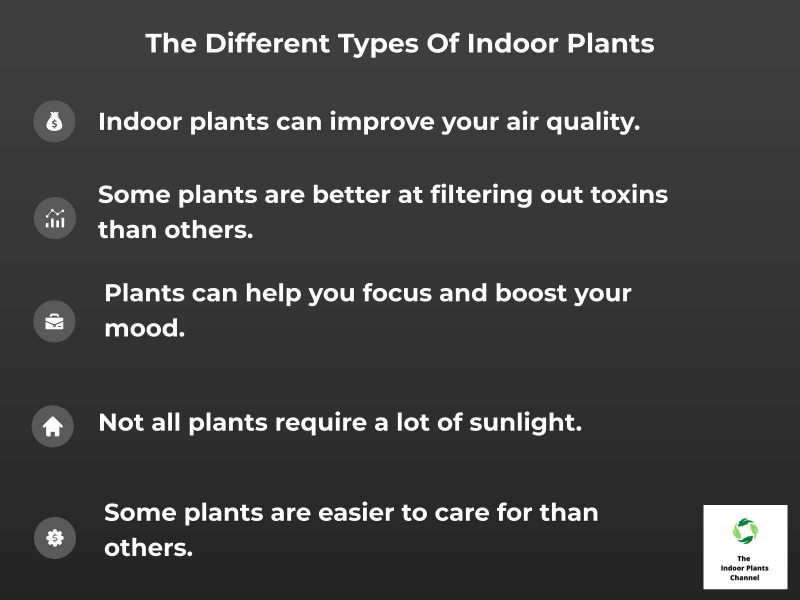 INFOGRAPHIC: The Different Types of Indoor Plants