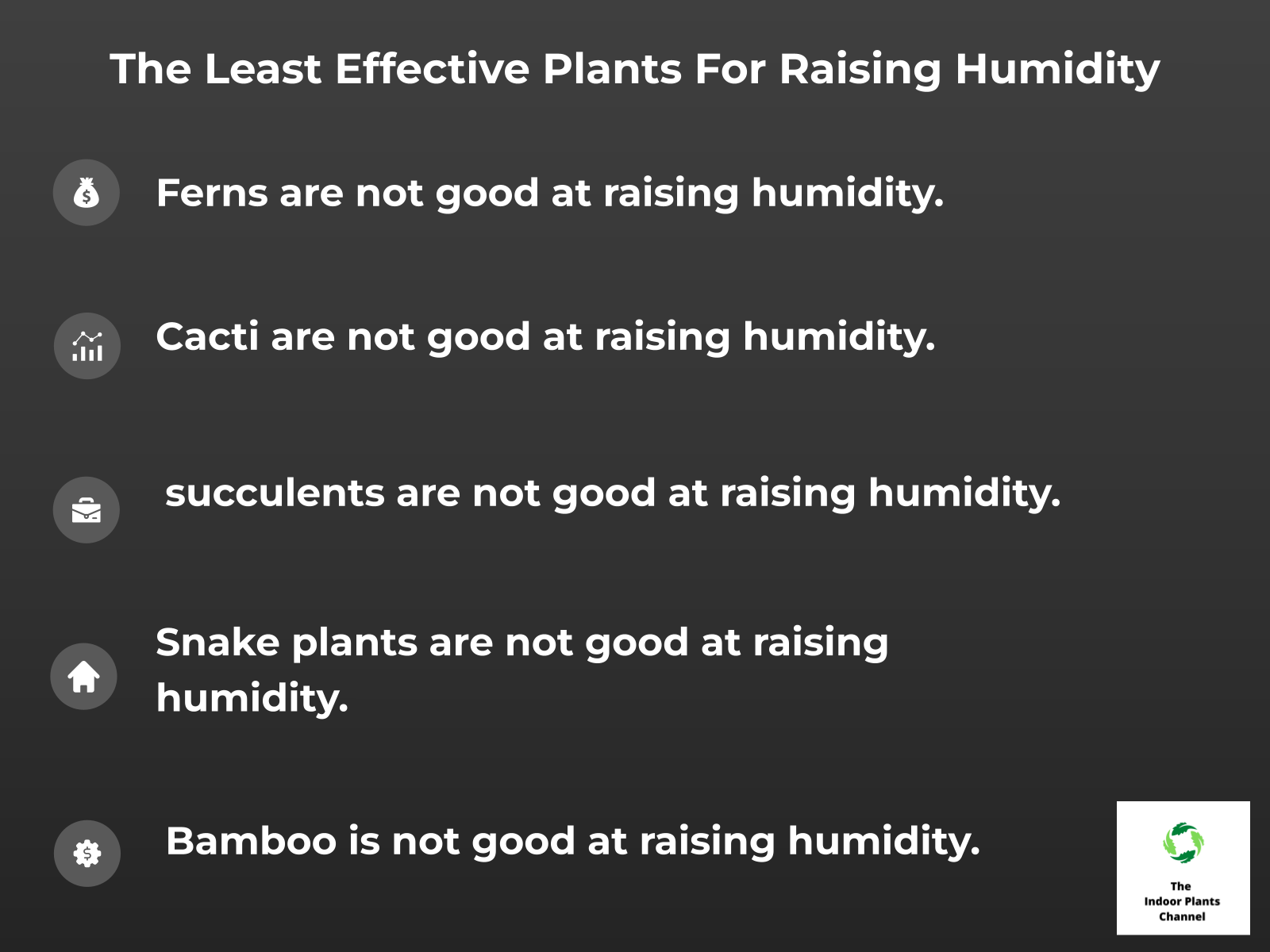 INFOGRAPHIC: The Least Effective Plants for Raising Humidity