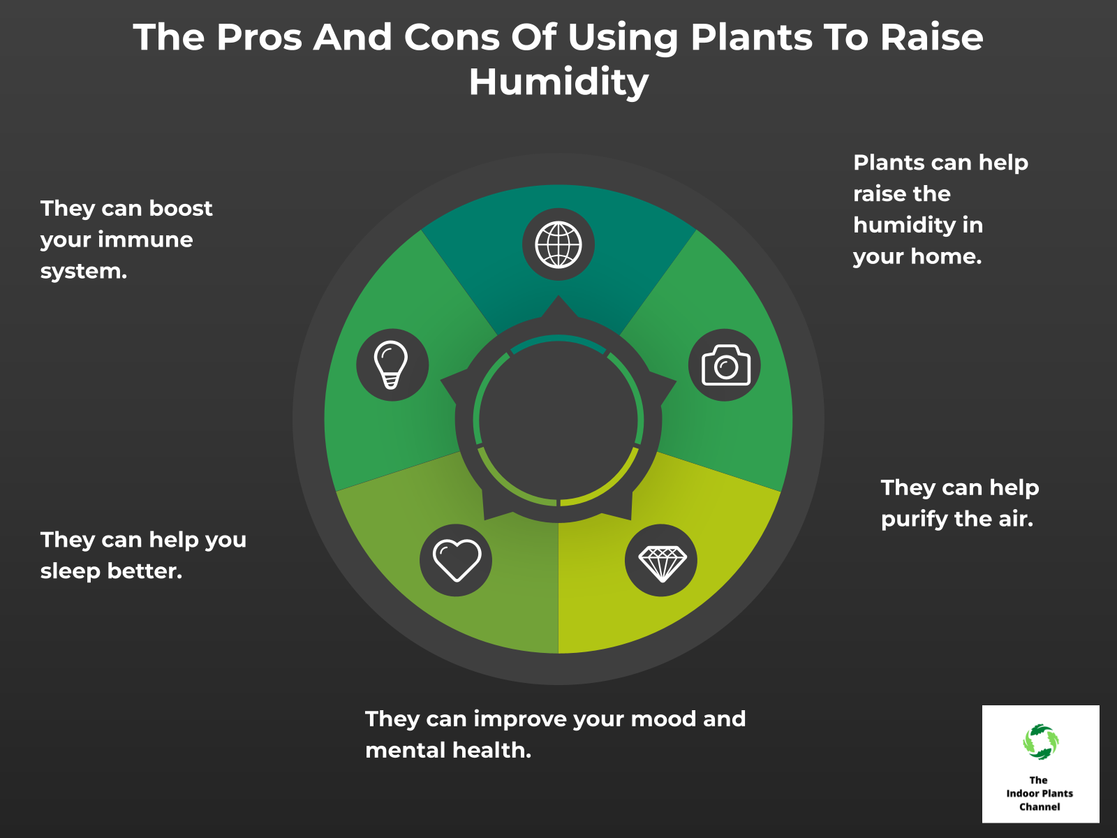 INFOGRAPHIC: The Pros and Cons of Using Plants to Raise Humidity