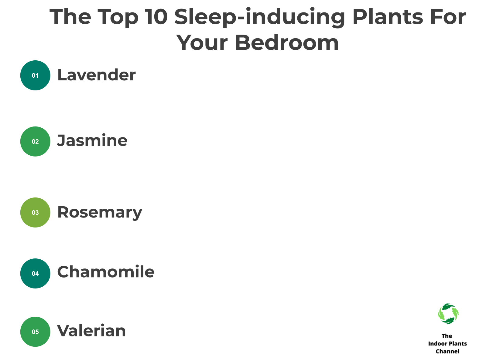 INFOGRAPHIC: The Top 10 Sleep-Inducing Plants for Your Bedroom
