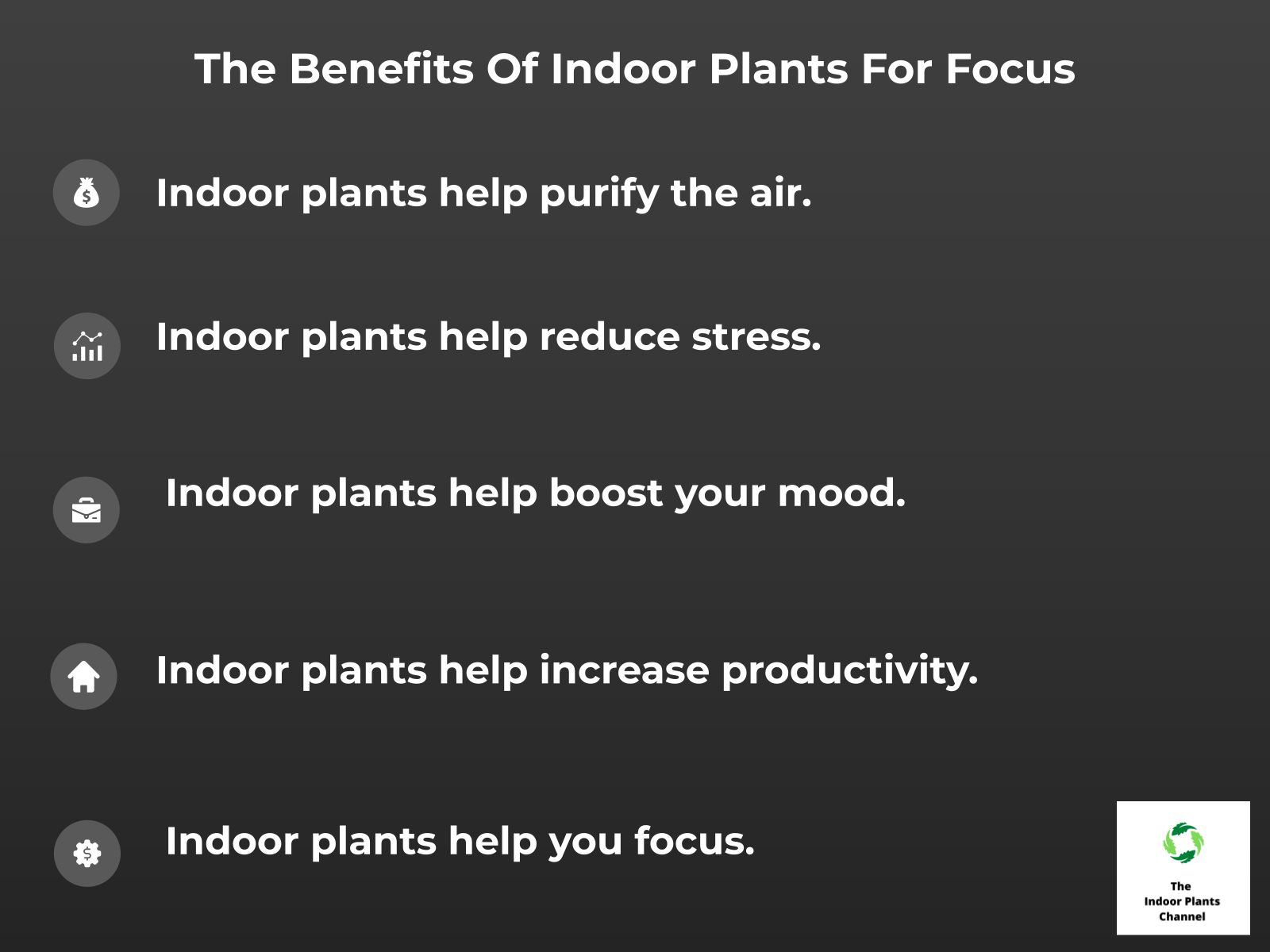 INFOGRAPHIC: The benefits of indoor plants for focus