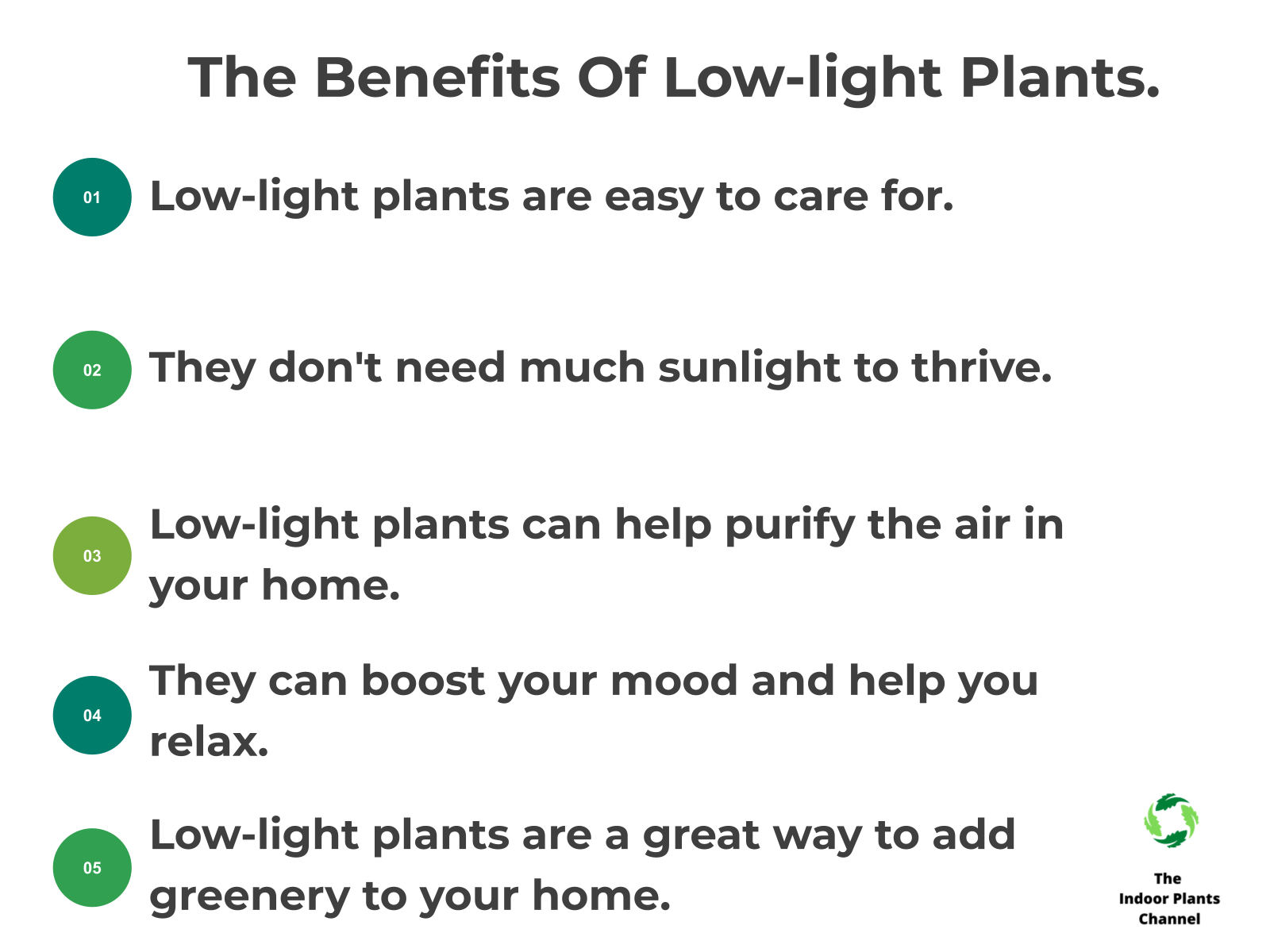 INFOGRAPHIC: The benefits of low-light plants.