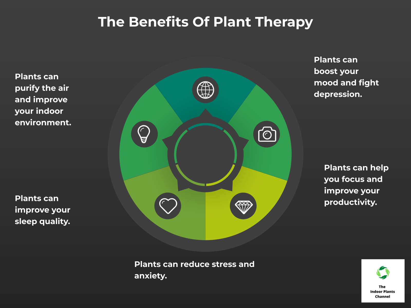 INFOGRAPHIC: The benefits of plant therapy