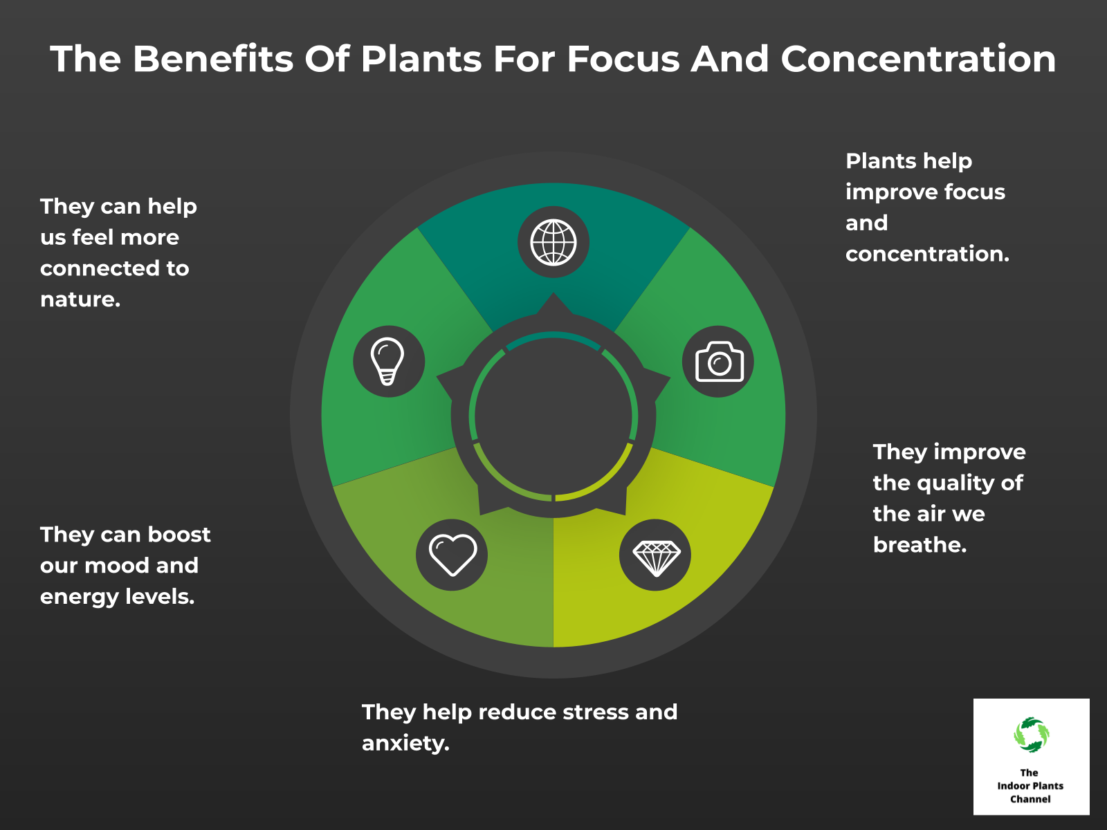 INFOGRAPHIC: The benefits of plants for focus and concentration