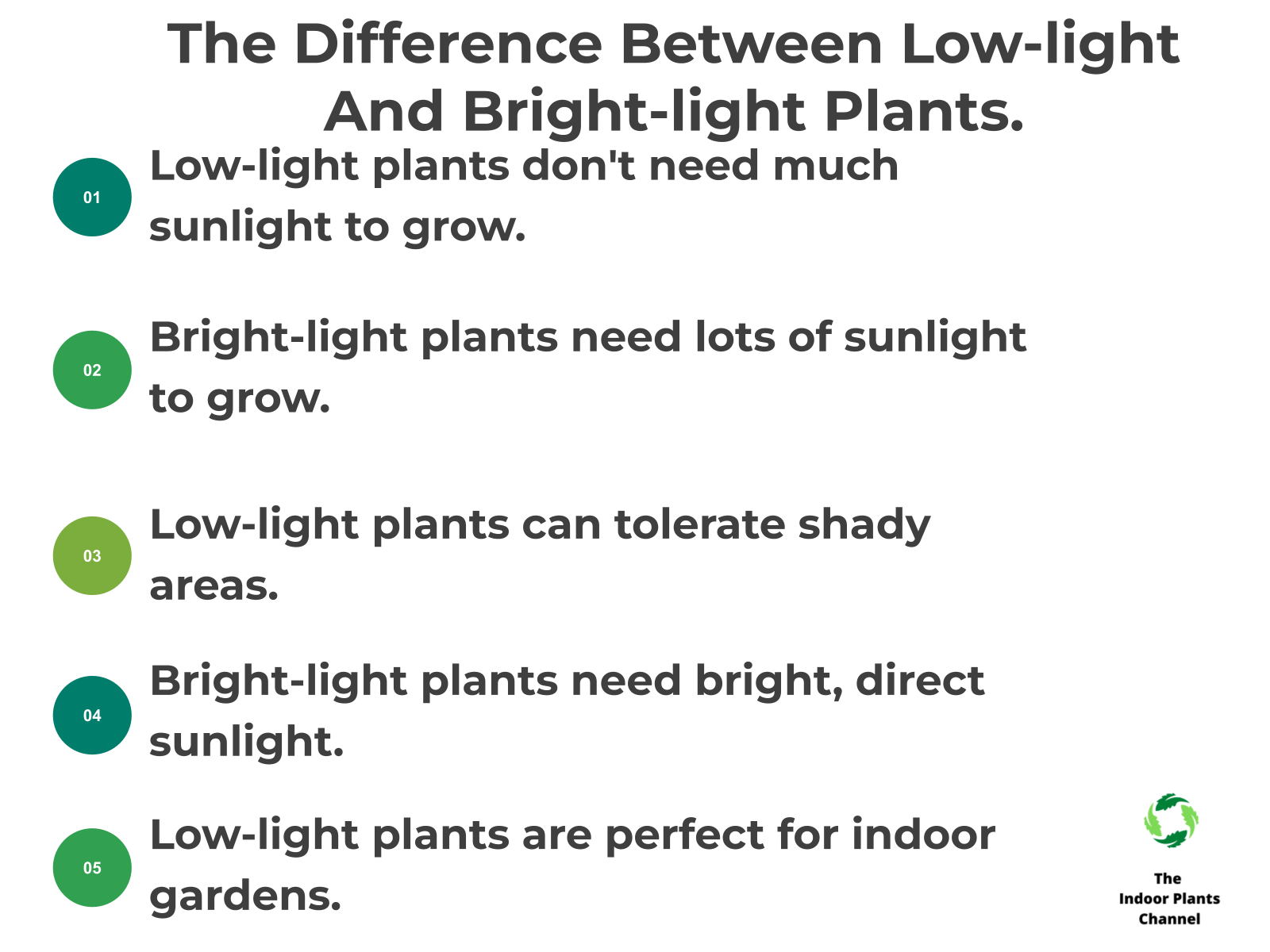 INFOGRAPHIC: The difference between low-light and bright-light plants.