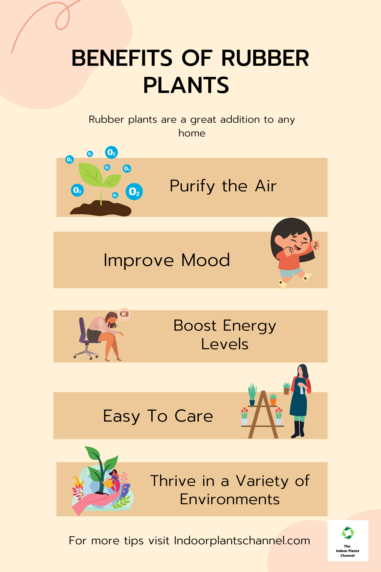 Benefits Of A Rubber Plant