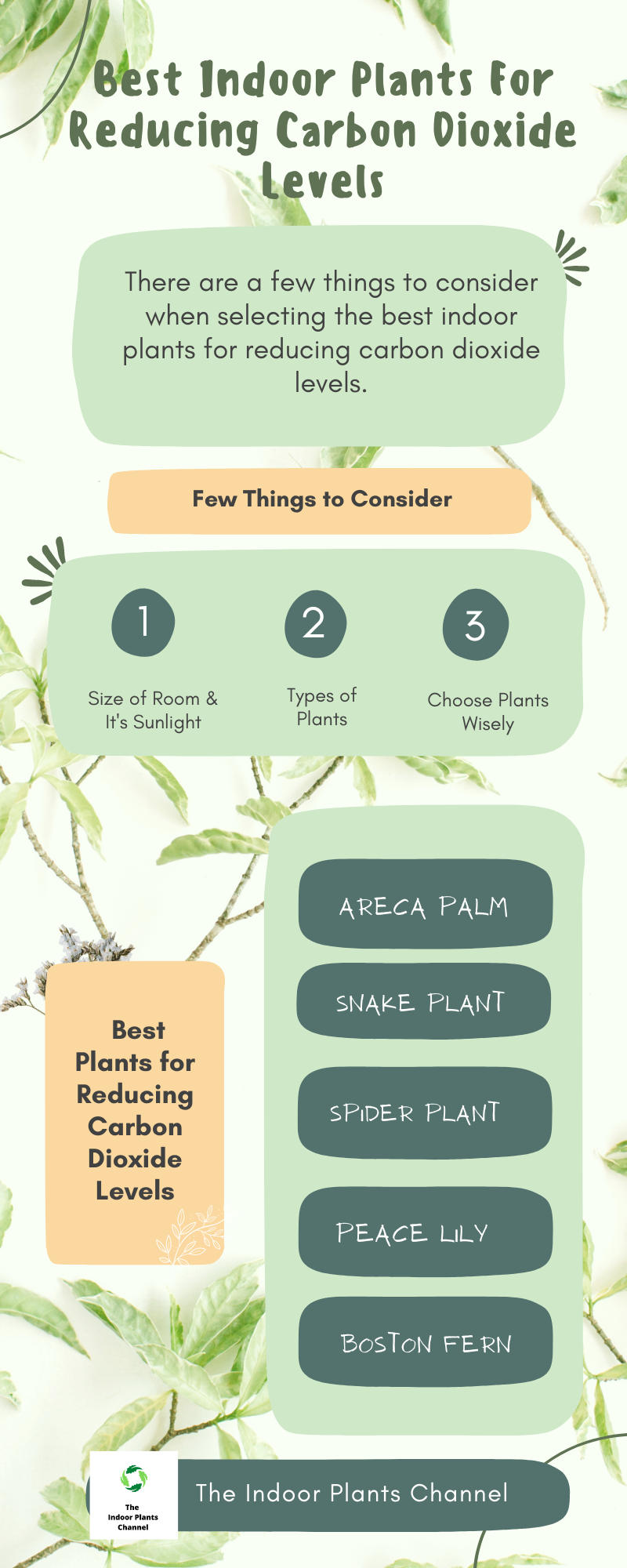 9 Indoor Plants For Reducing Carbon Dioxide Levels