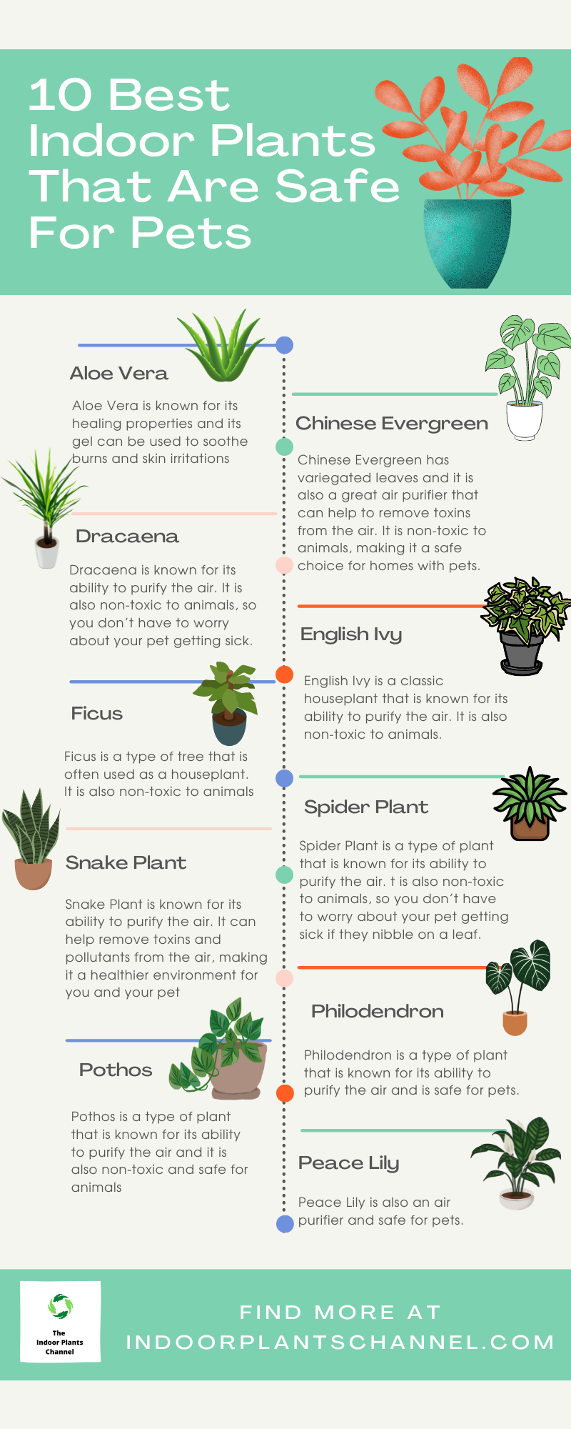 27 Indoor Plants That Are Safe For Pets And Improve Your Health