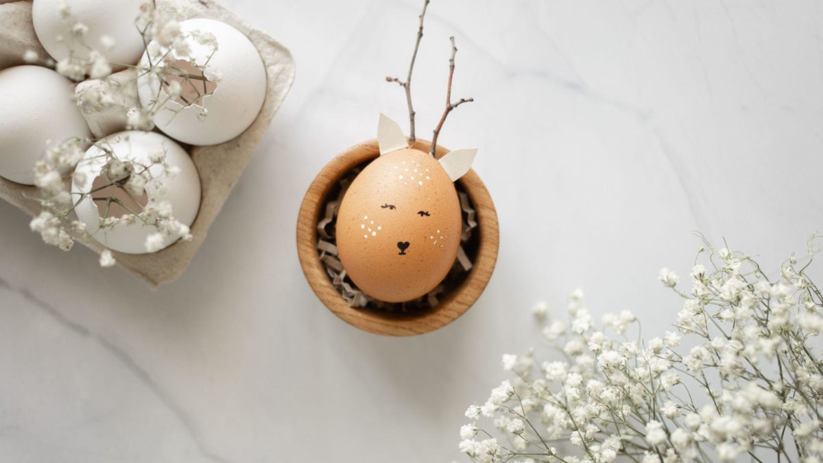 Eggshells For Indoor Plants : The Ultimate Guide