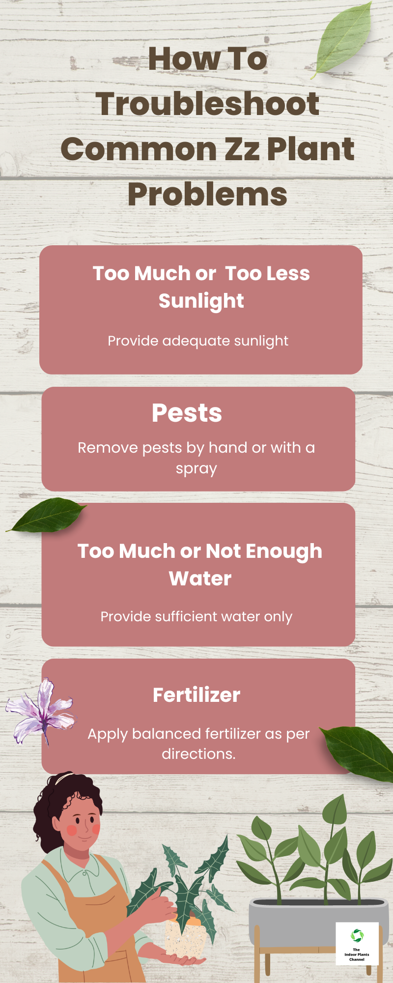 How To Troubleshoot Common ZZ Plant Problems