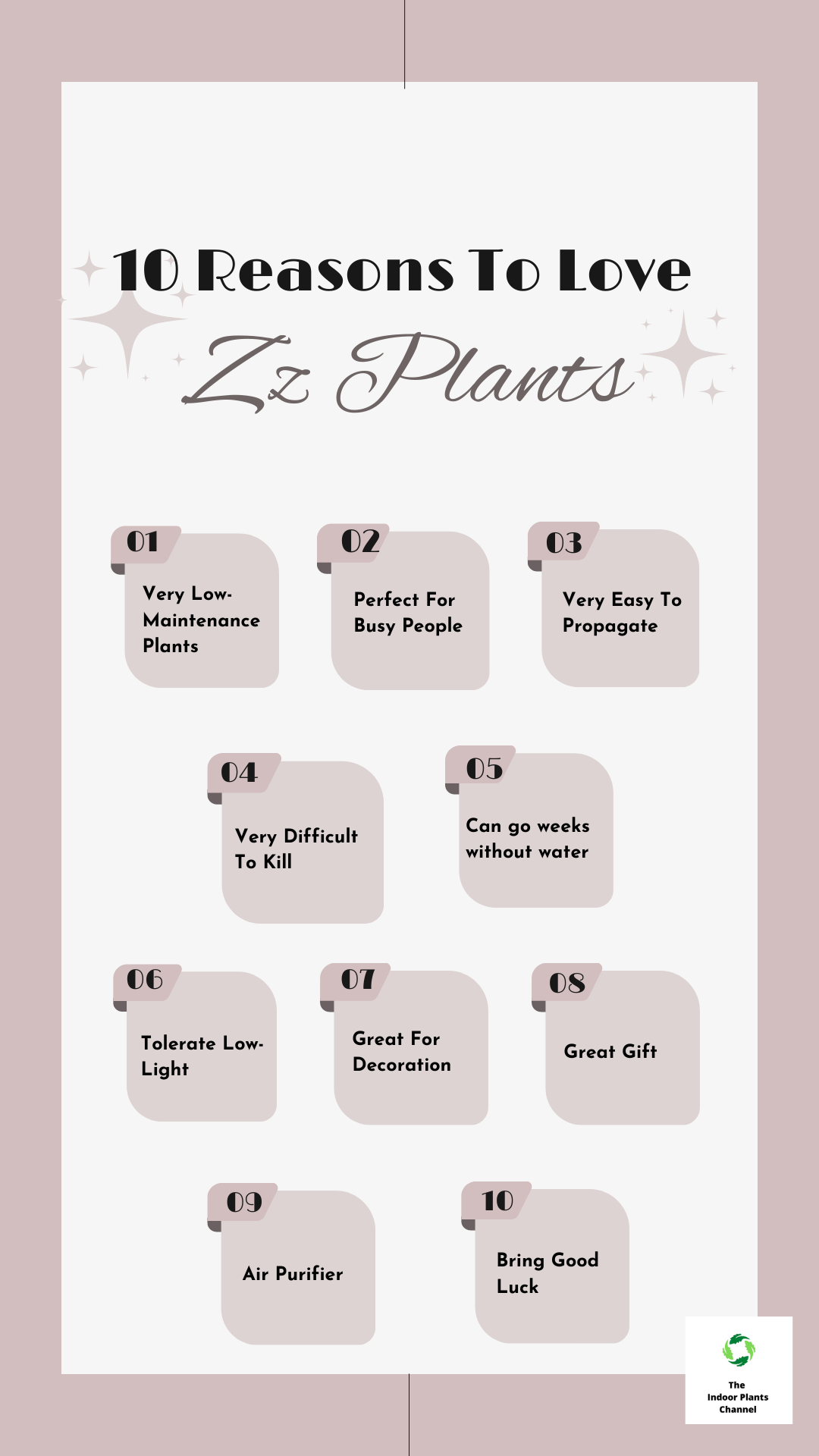10 Reasons To Love ZZ Plants