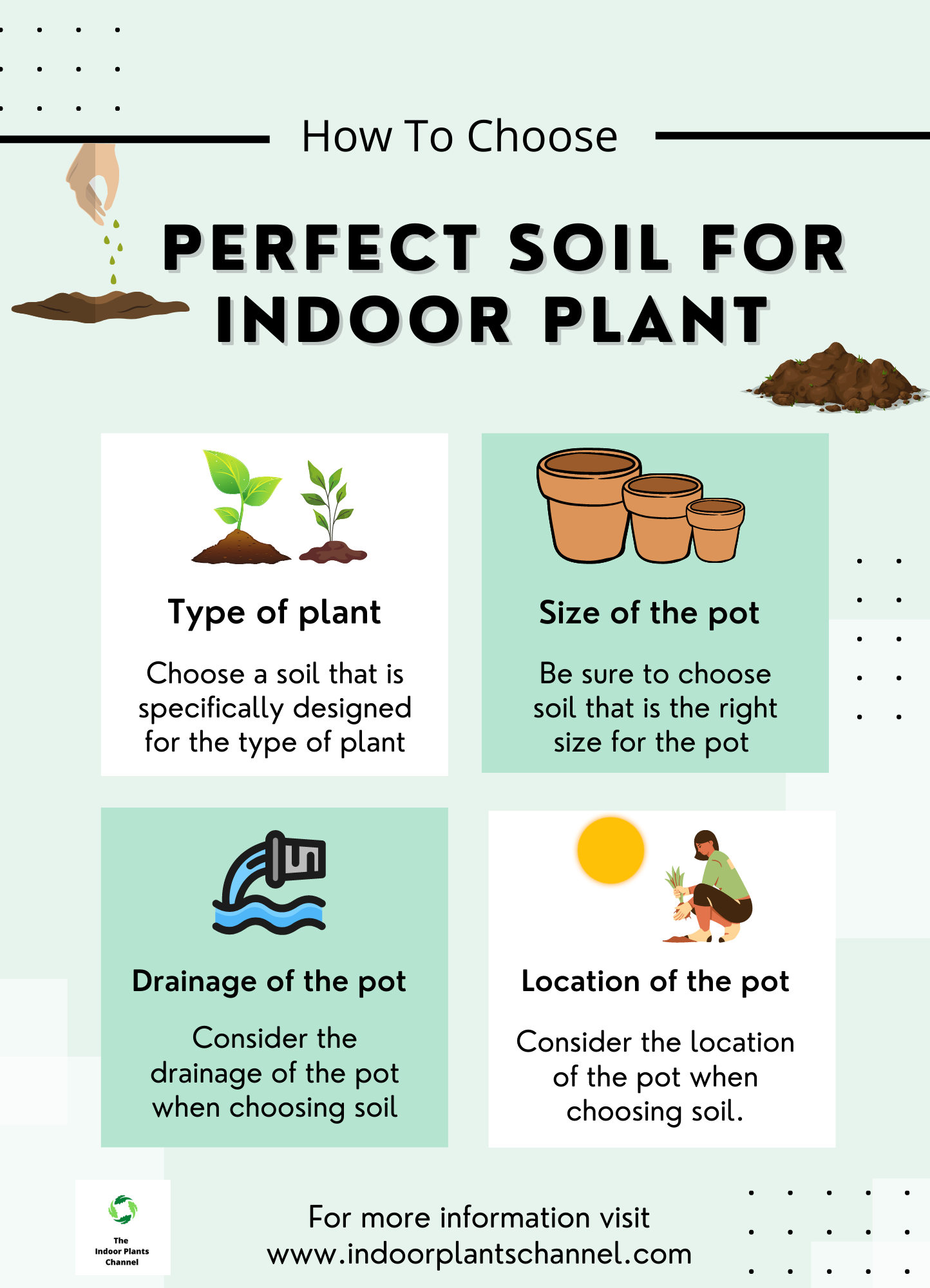 How To Choose The Right Indoor Plant Soil