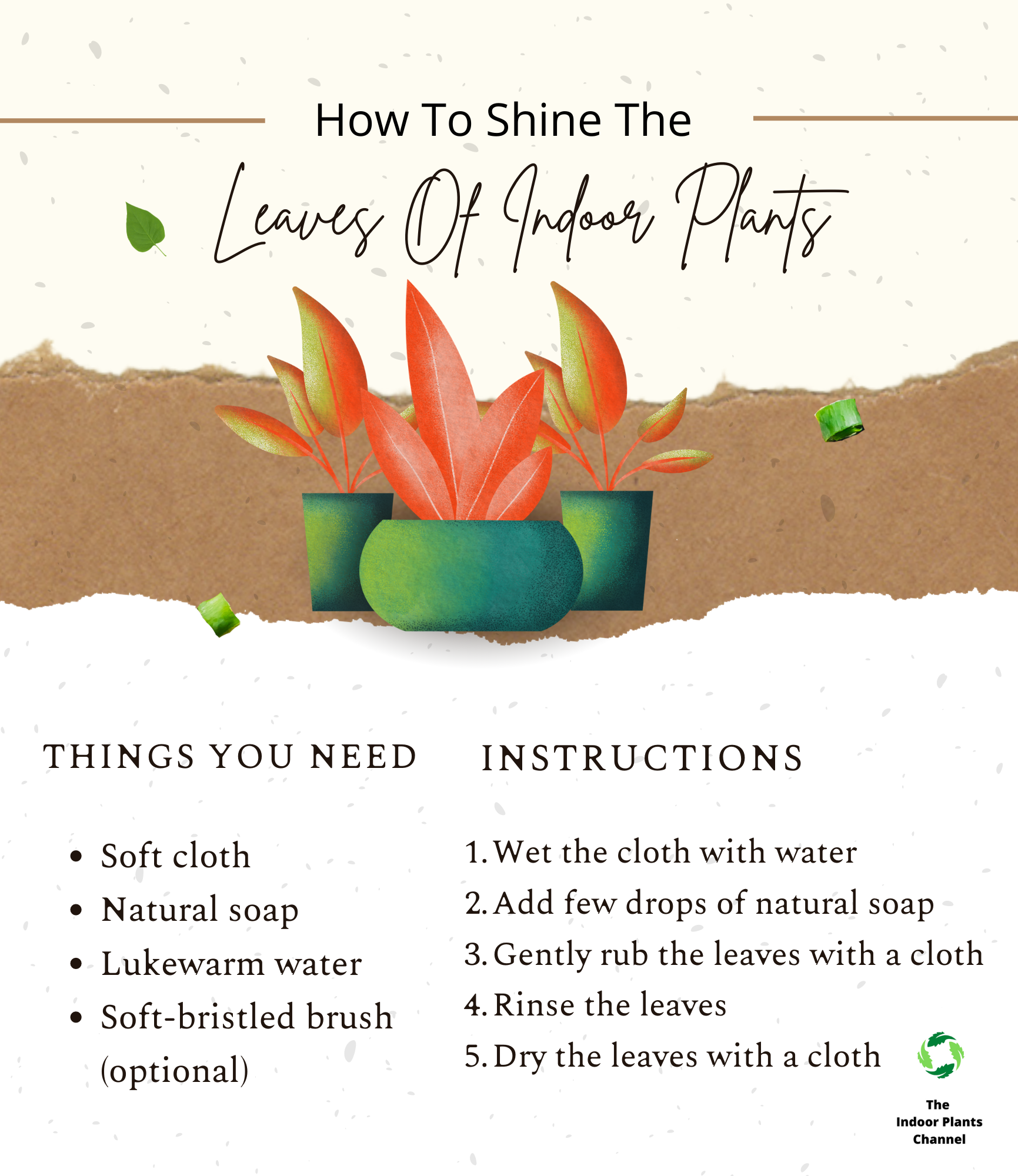How to Shine Indoor Plant Leaves
