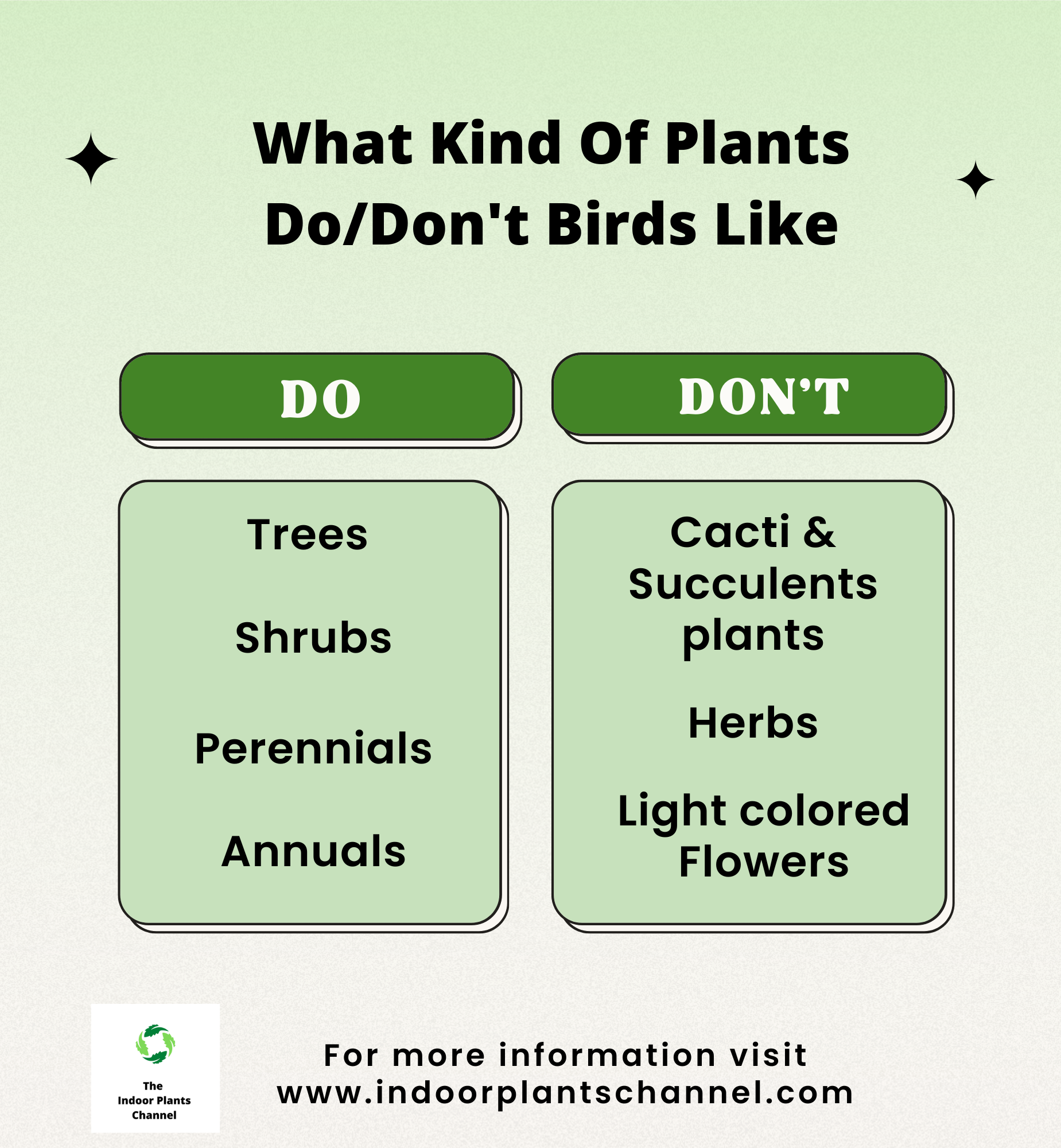 The Kinds Of Plants Birds Don’t Like To Nest In