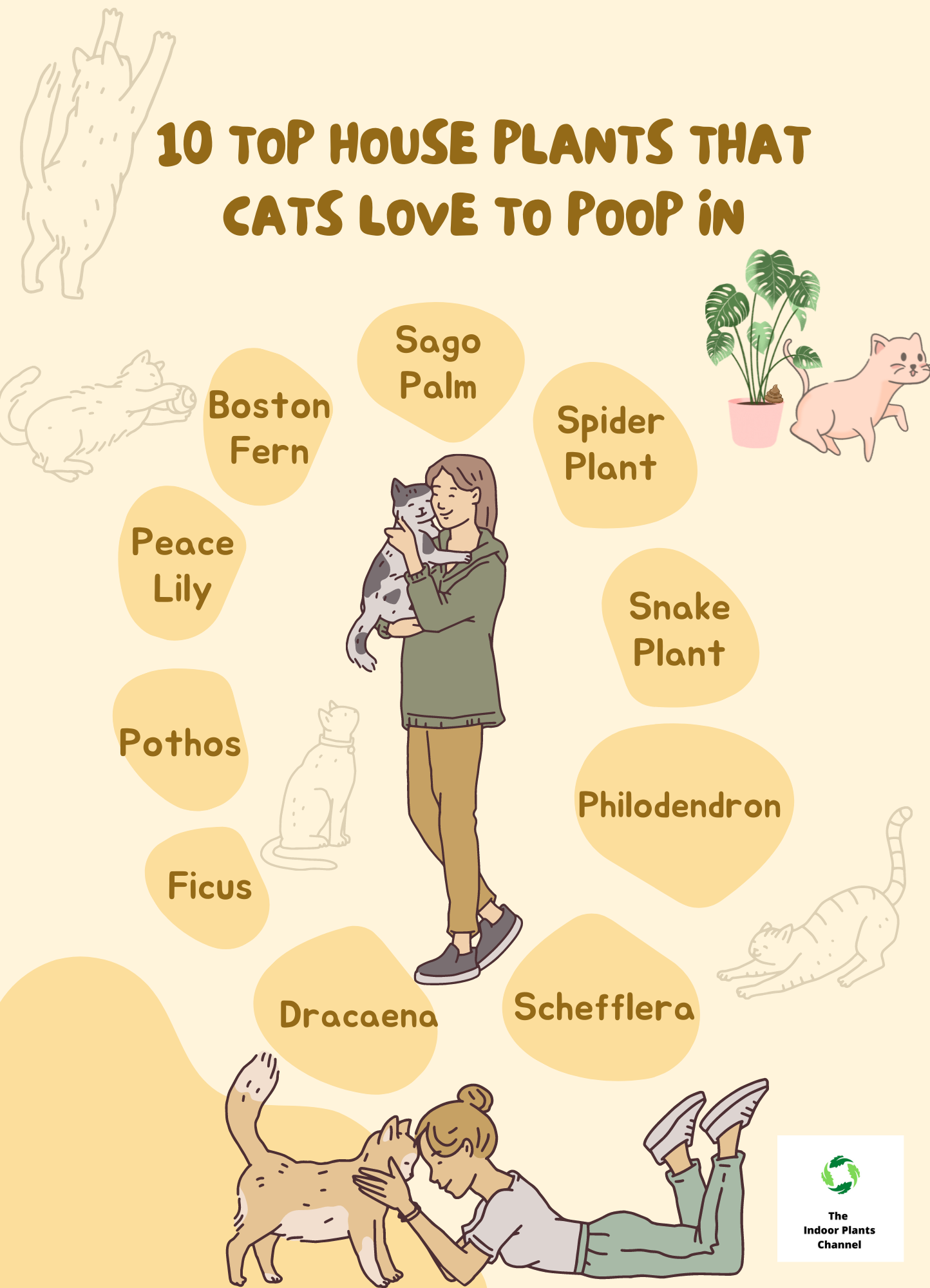 The Top 10 House Plants That Cats Love To Poop In