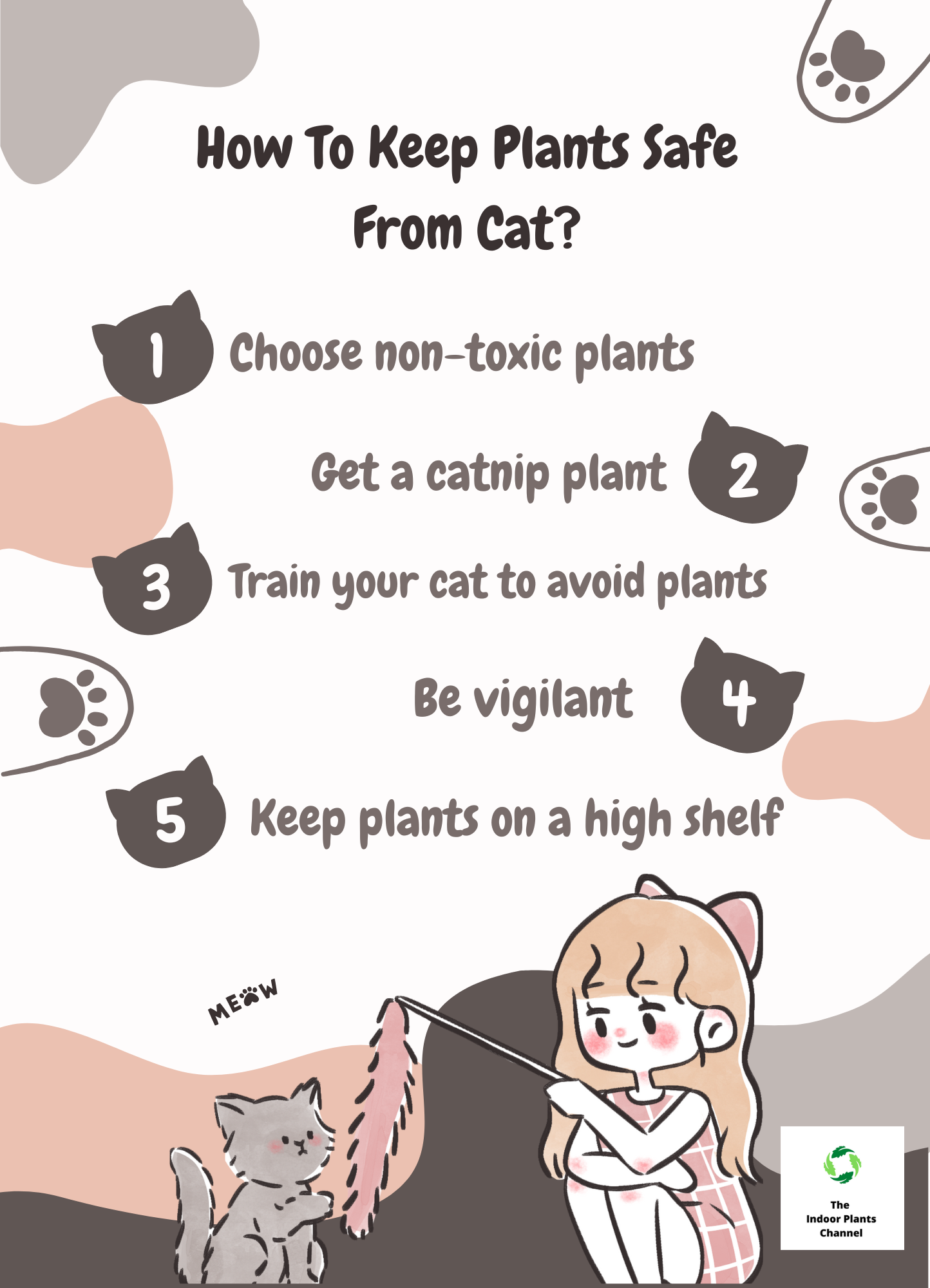 How To Keep Your House Plants Safe From Your Cat